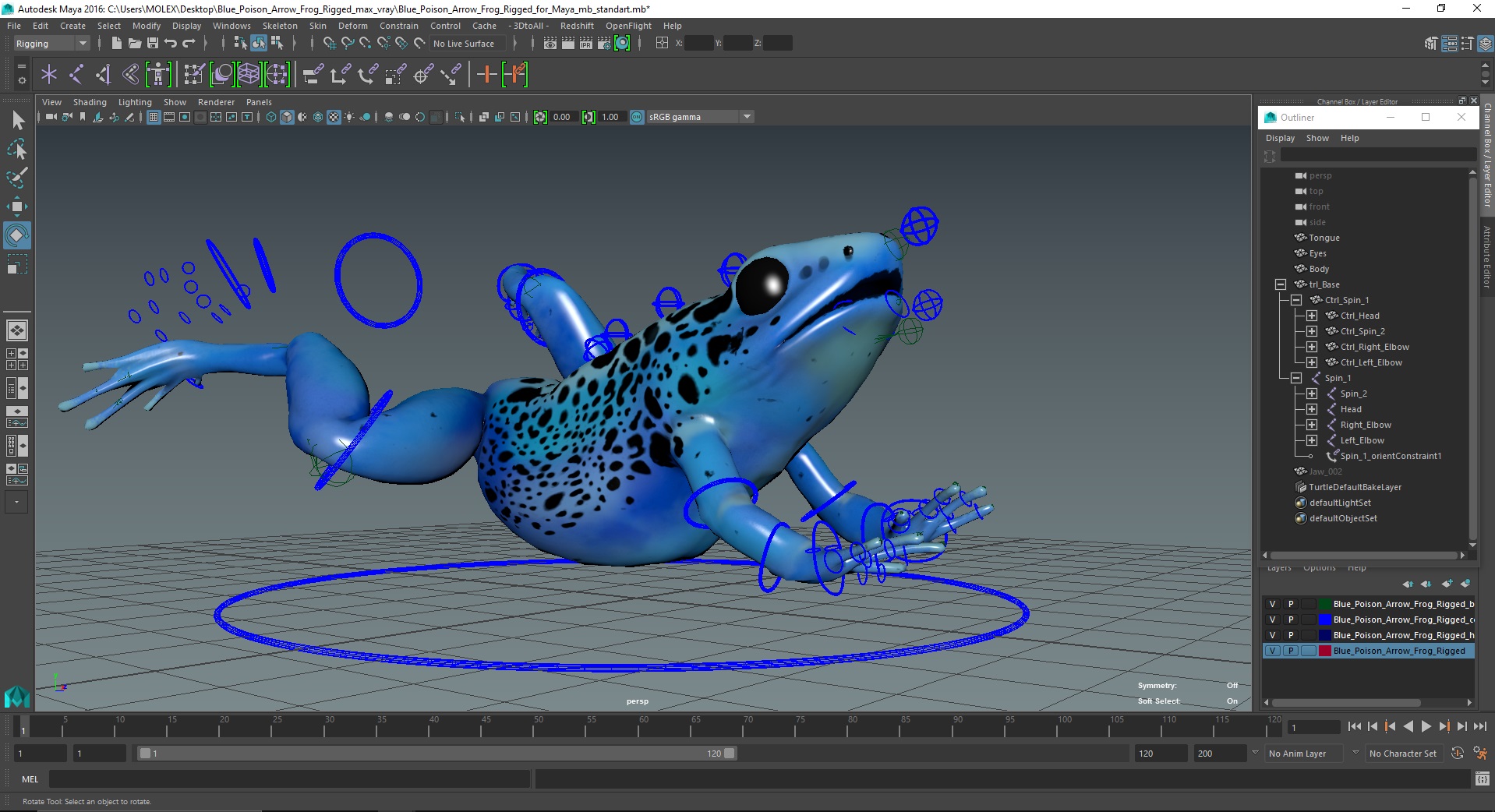 3D Blue Poison Arrow Frog Rigged for Maya model
