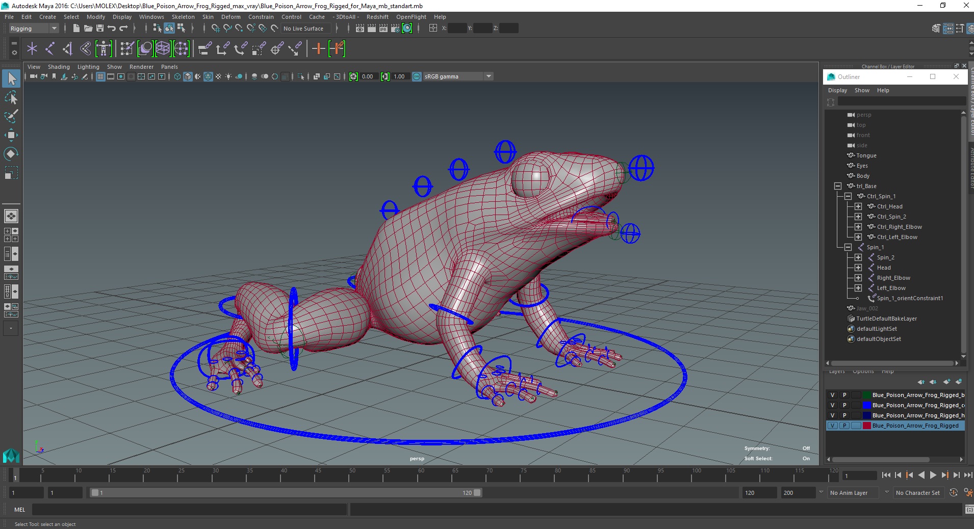 3D Blue Poison Arrow Frog Rigged for Maya model