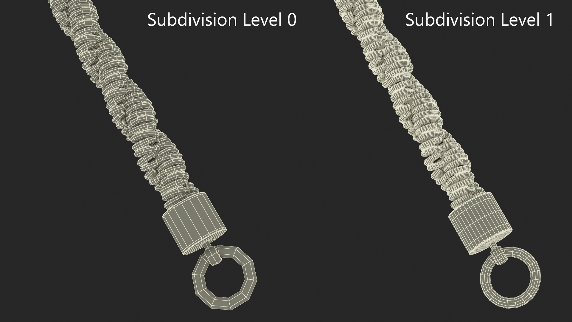 Rope Chain Silver 3D