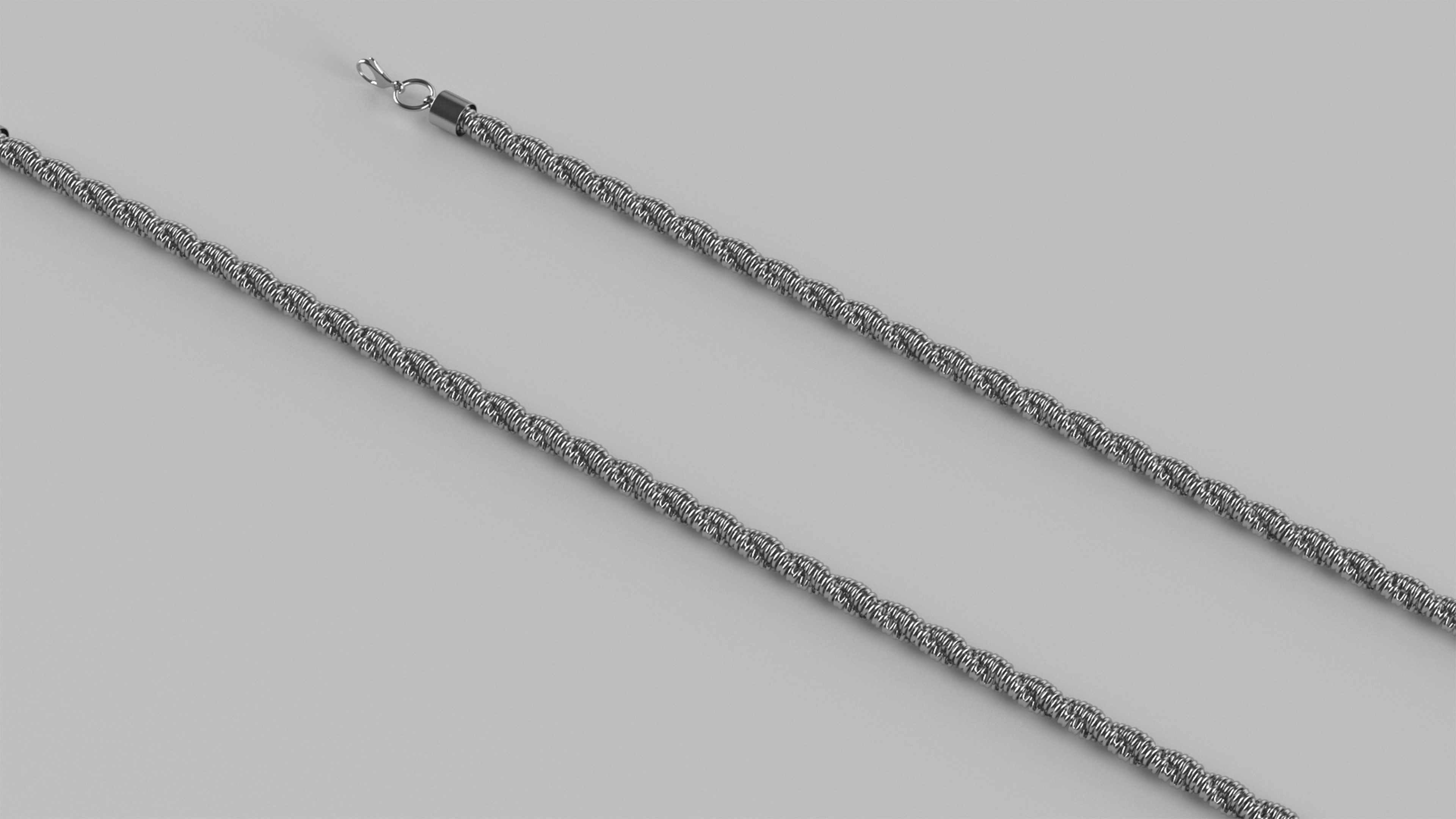 Rope Chain Silver 3D