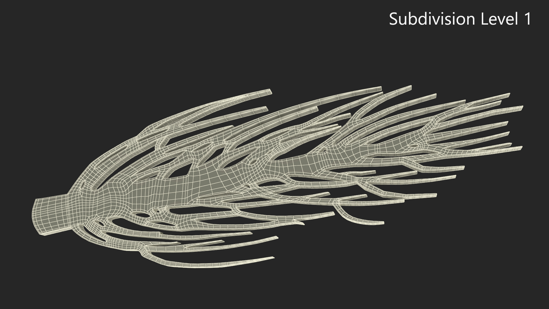 Desert Tree Silhouette 3D