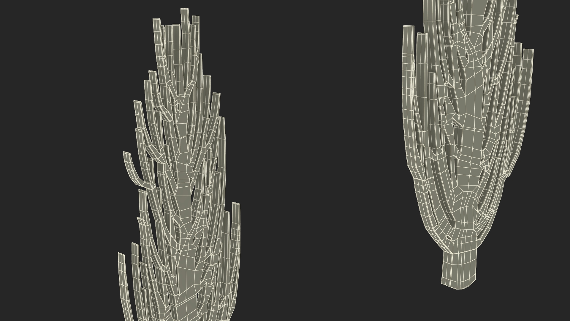 Desert Tree Silhouette 3D