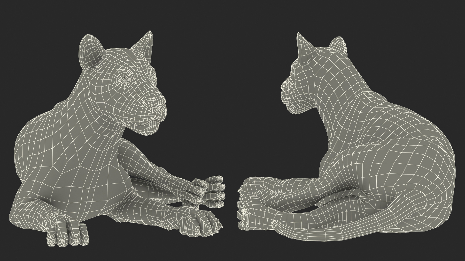 3D Young Lion Lying Pose