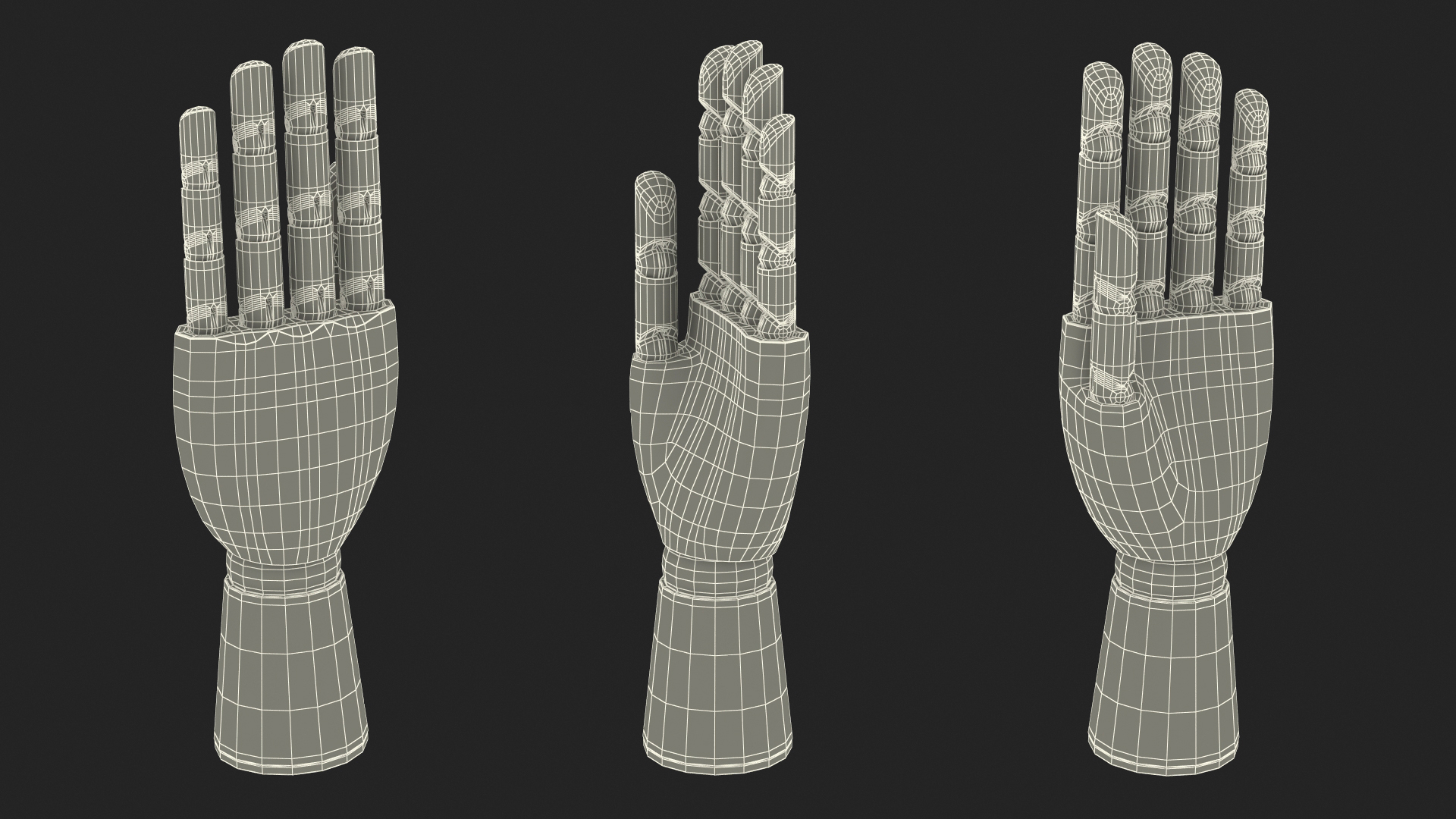 3D Dark Wood Hand Rigged