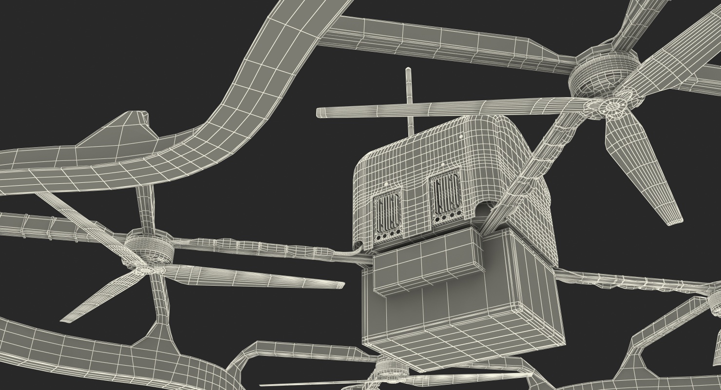 3D model Delivery Cargo Drone