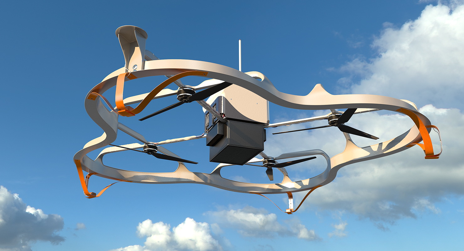 3D model Delivery Cargo Drone