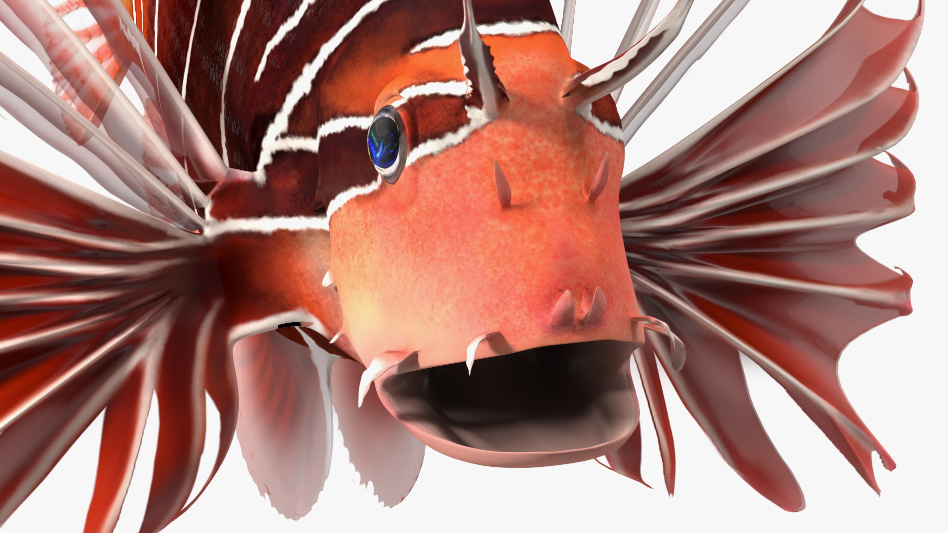 3D Clearfin Lionfish Rigged for Maya model