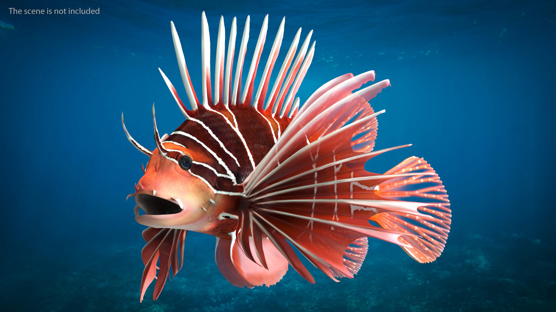 3D Clearfin Lionfish Rigged for Maya model