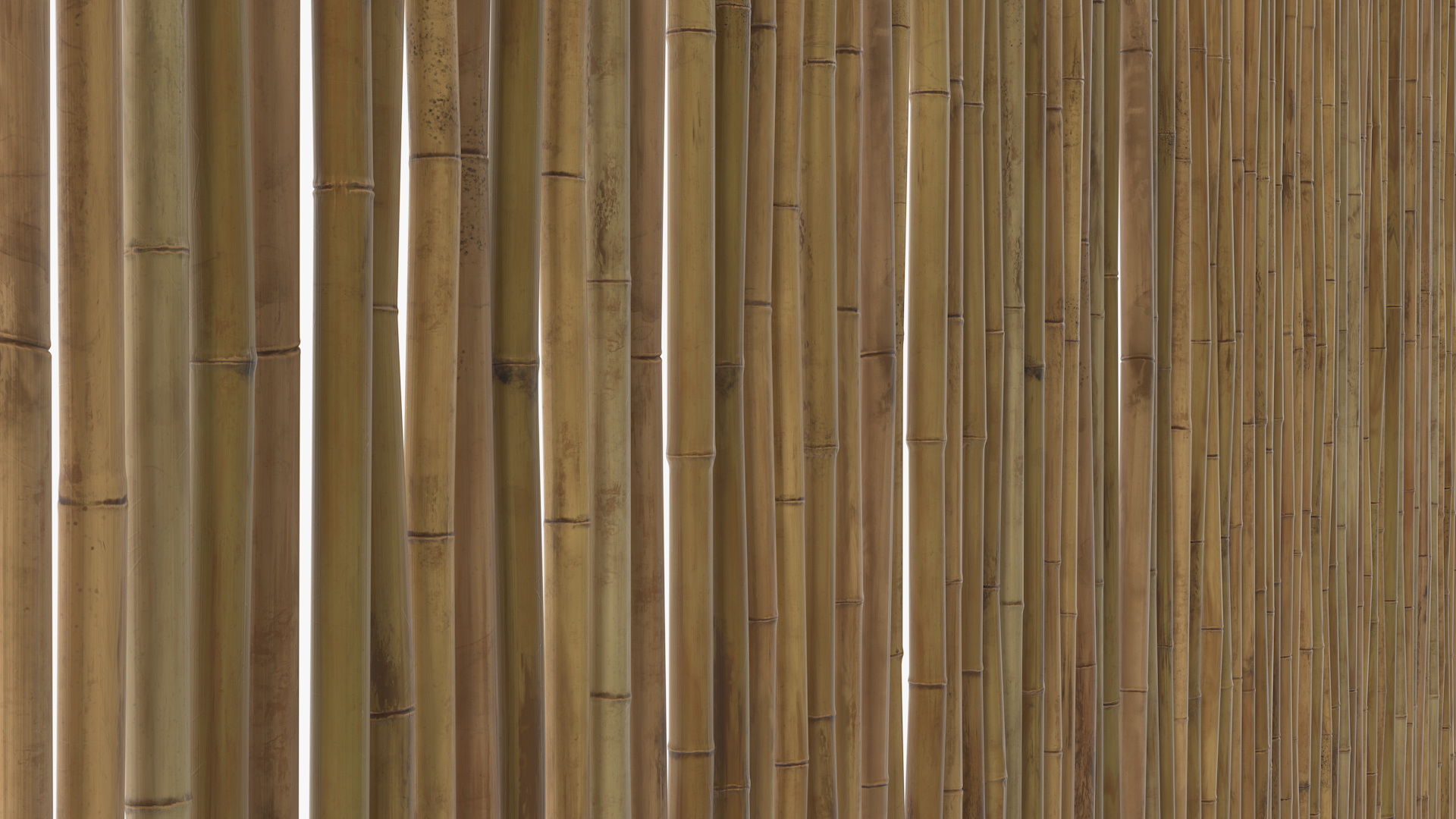 3D Bamboo Fence Dark Color model