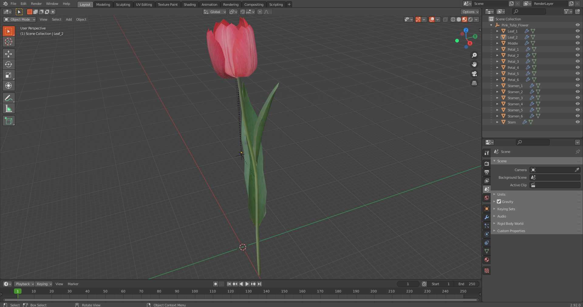 Pink Tulip Flower 3D