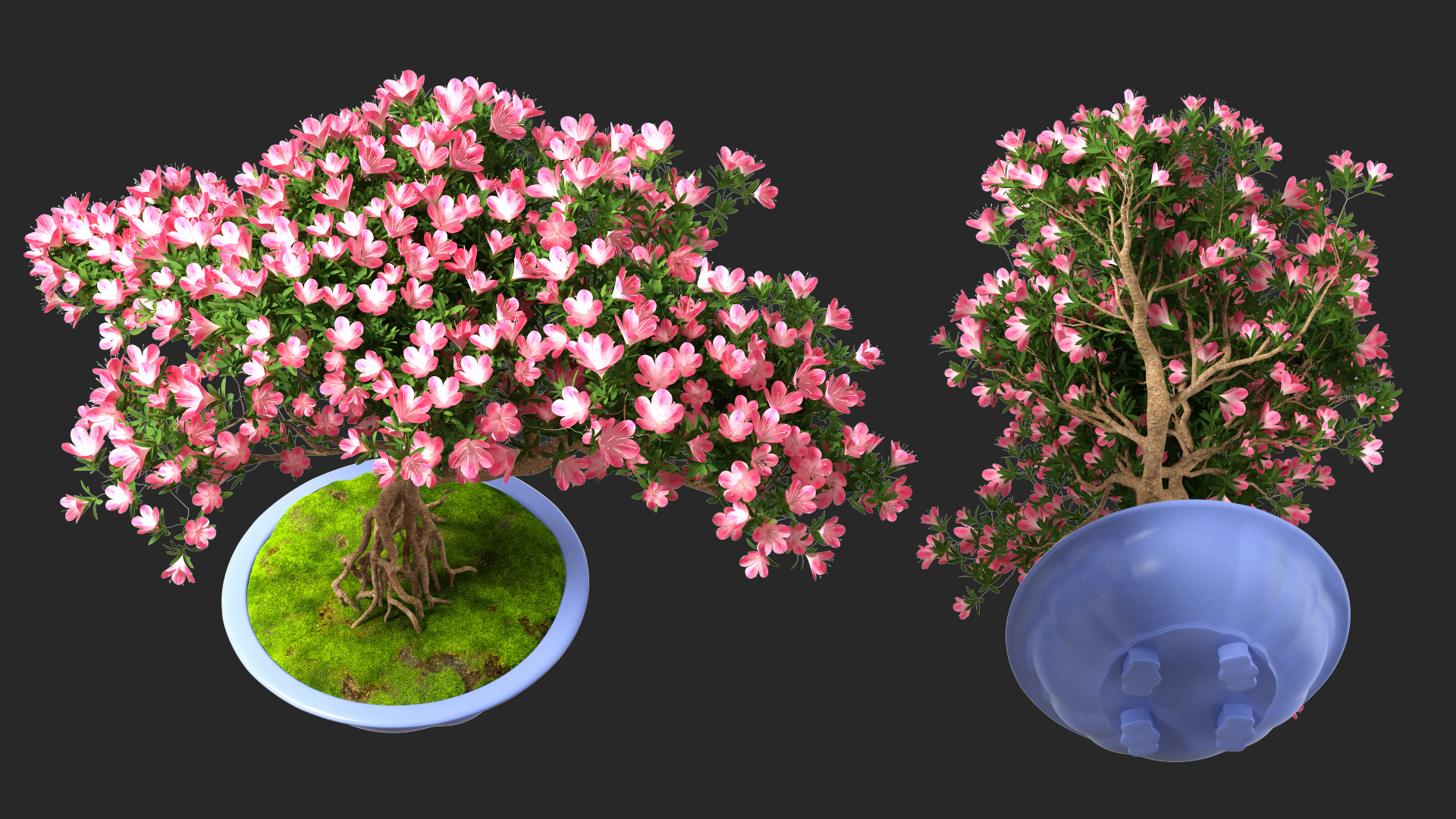 3D model Miniature Bonsai Tree with Flowers in Pot Fur