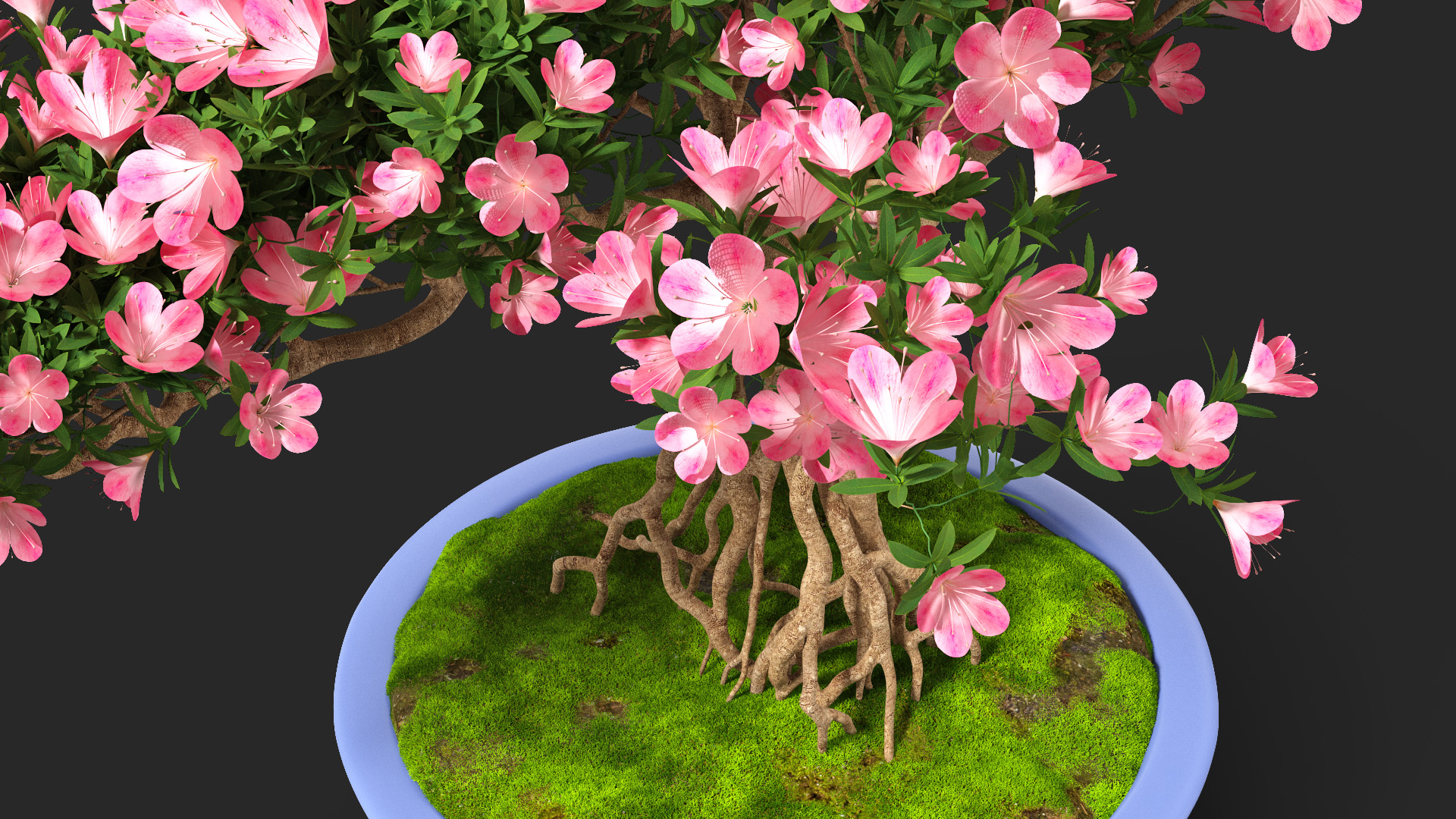 3D model Miniature Bonsai Tree with Flowers in Pot Fur