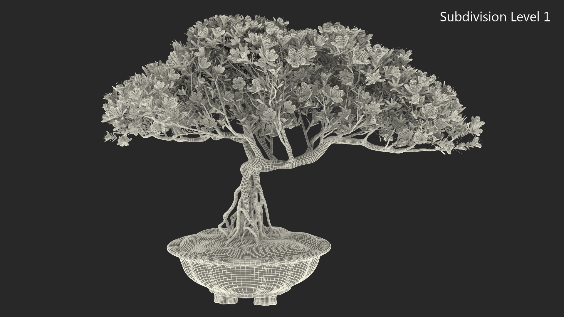 3D model Miniature Bonsai Tree with Flowers in Pot Fur