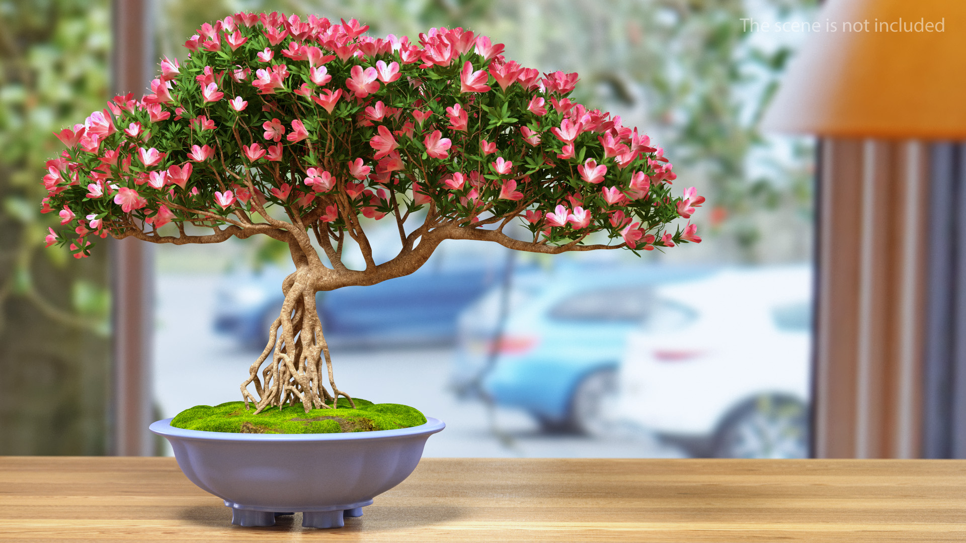 3D model Miniature Bonsai Tree with Flowers in Pot Fur