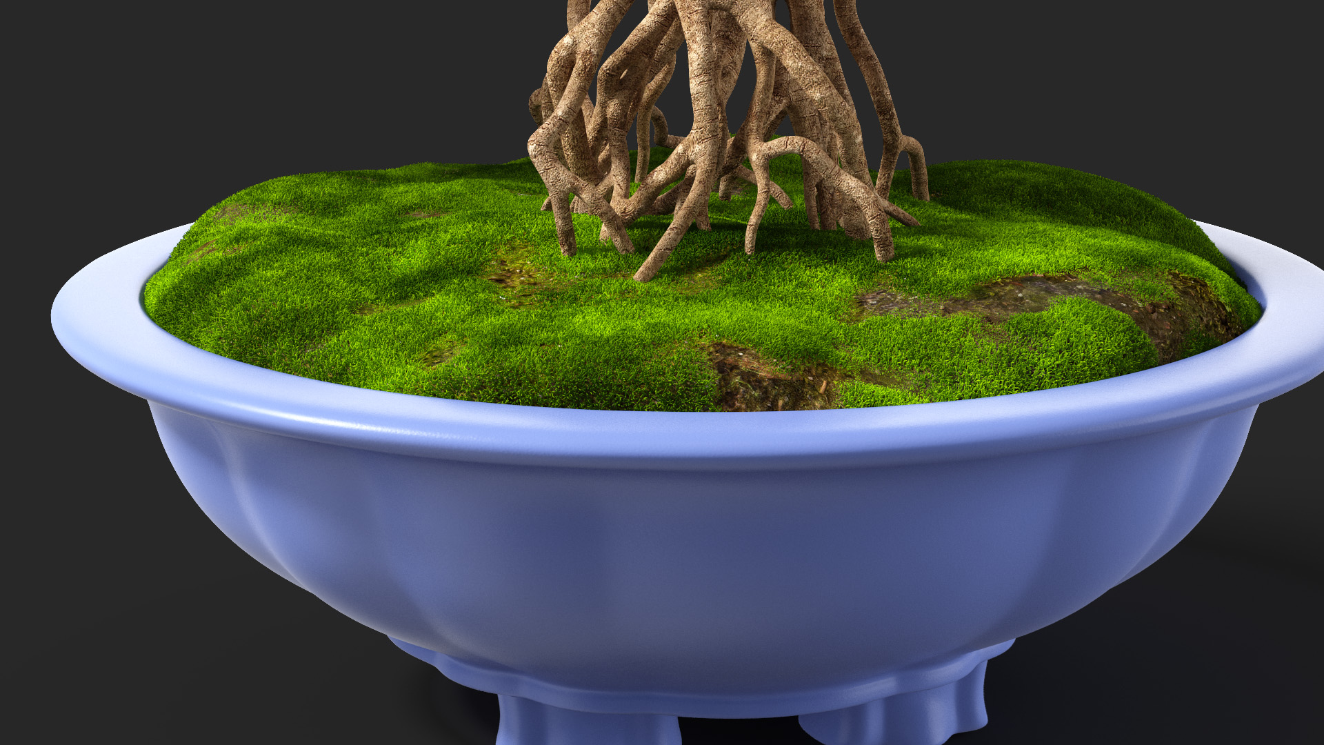 3D model Miniature Bonsai Tree with Flowers in Pot Fur