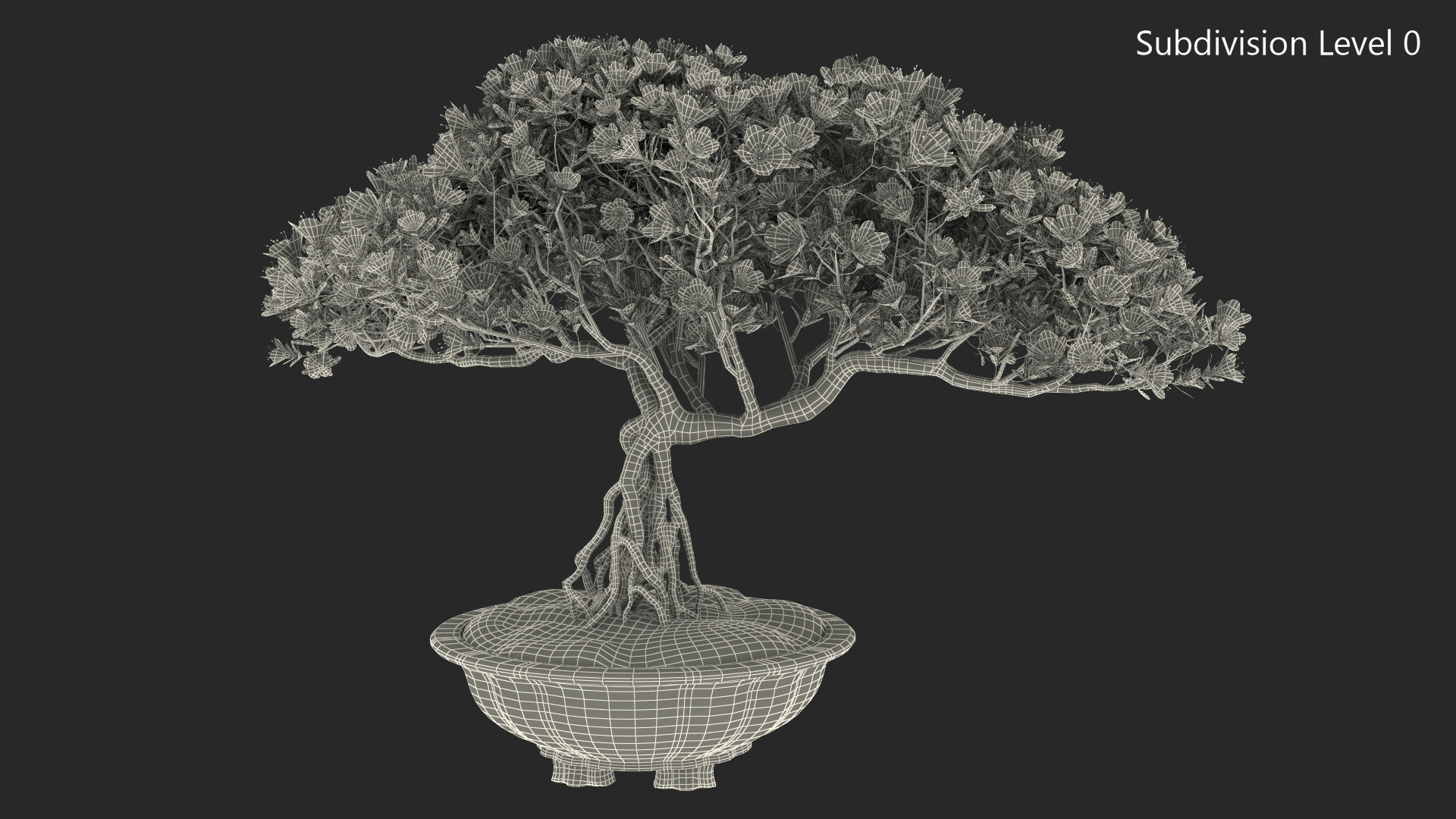 3D model Miniature Bonsai Tree with Flowers in Pot Fur