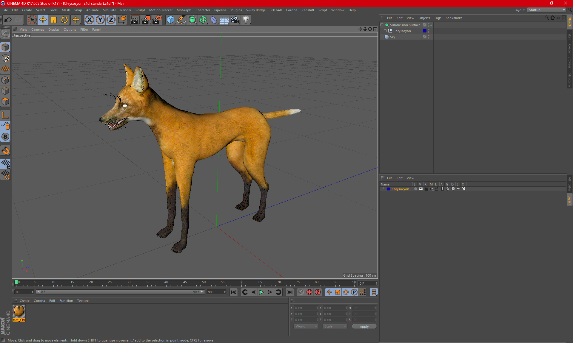 3D model Chrysocyon