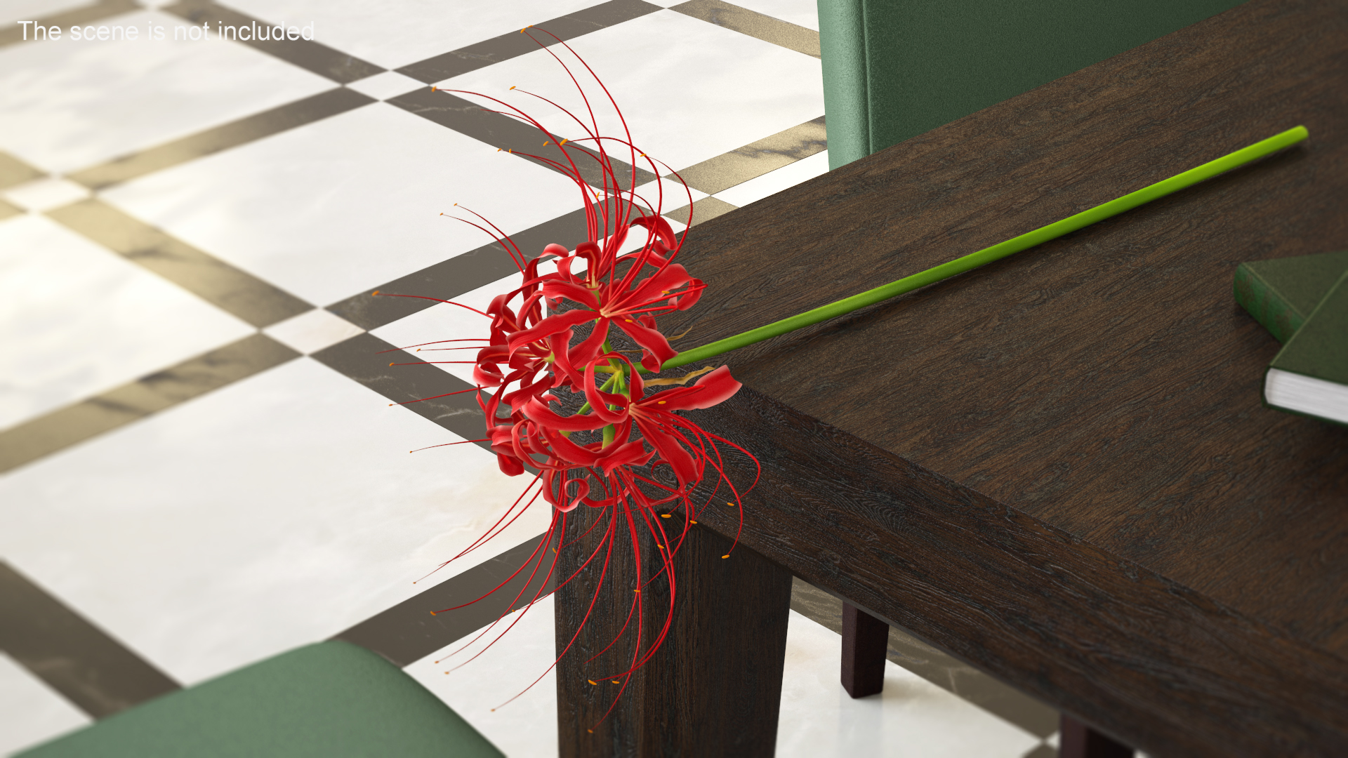 3D Spider Lily Flower model