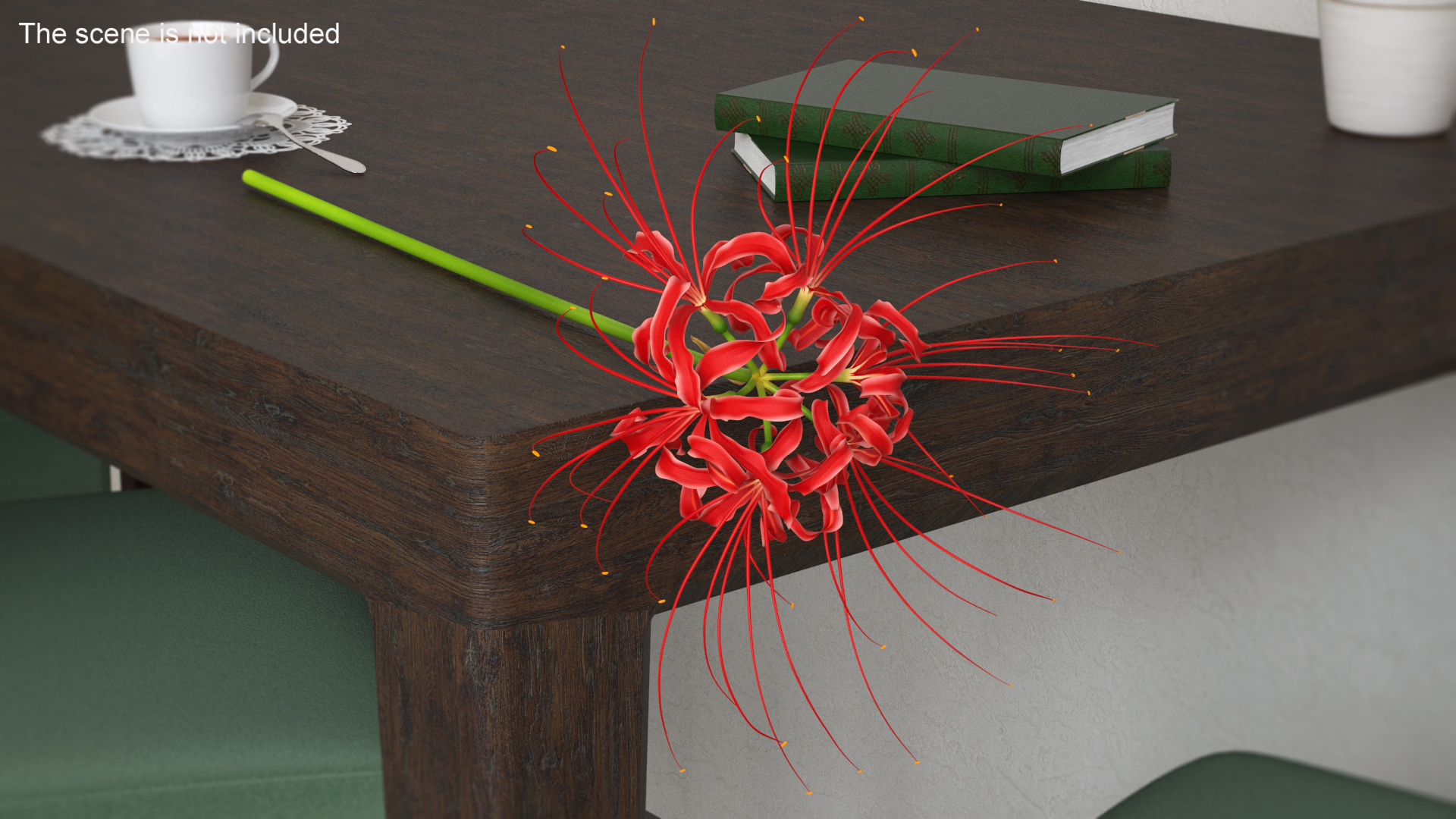 3D Spider Lily Flower model