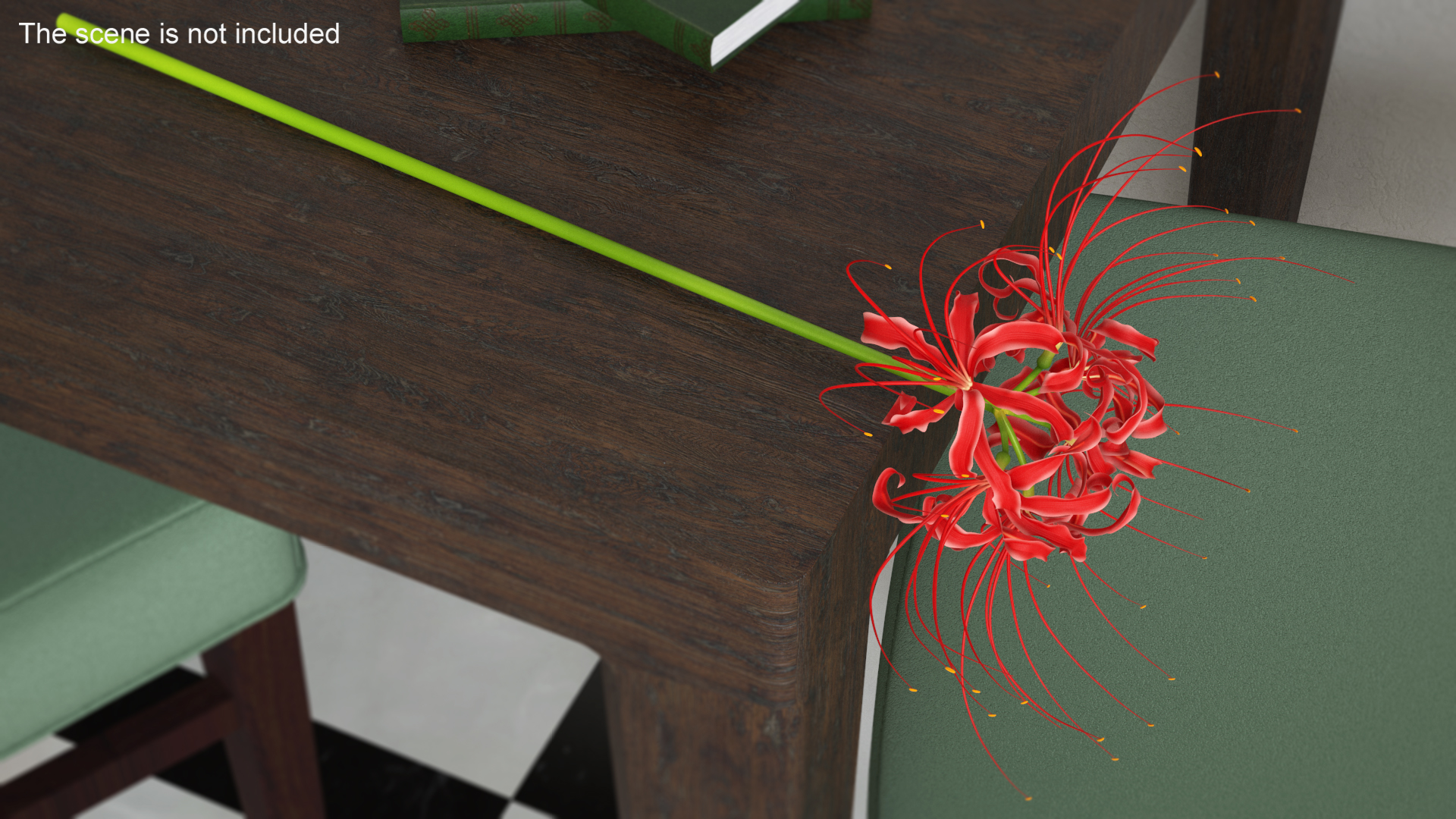 3D Spider Lily Flower model