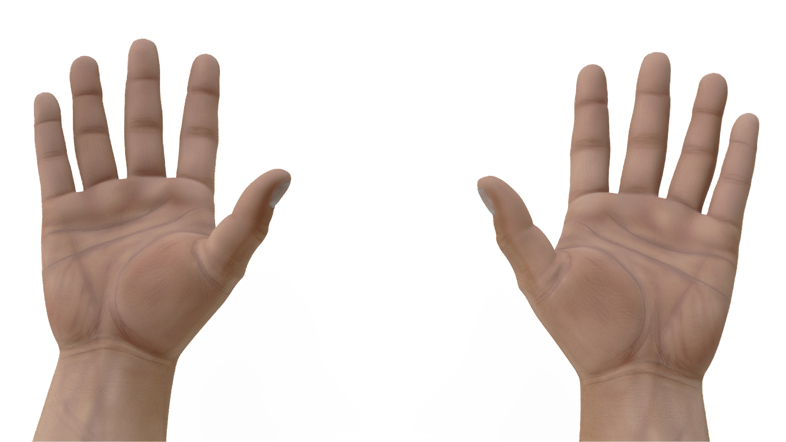 3D model White Man Hands Base Pose