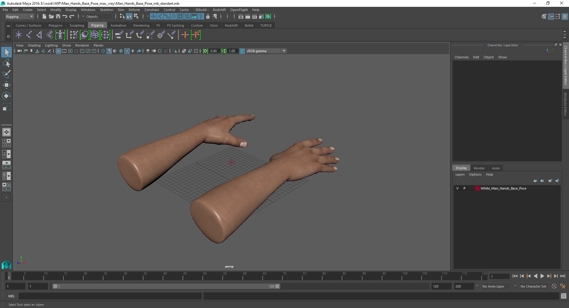 3D model White Man Hands Base Pose