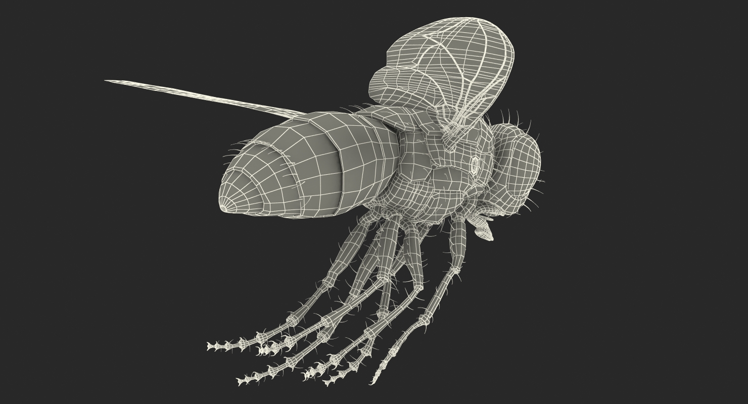 Fly Pose 3 with Fur 3D model