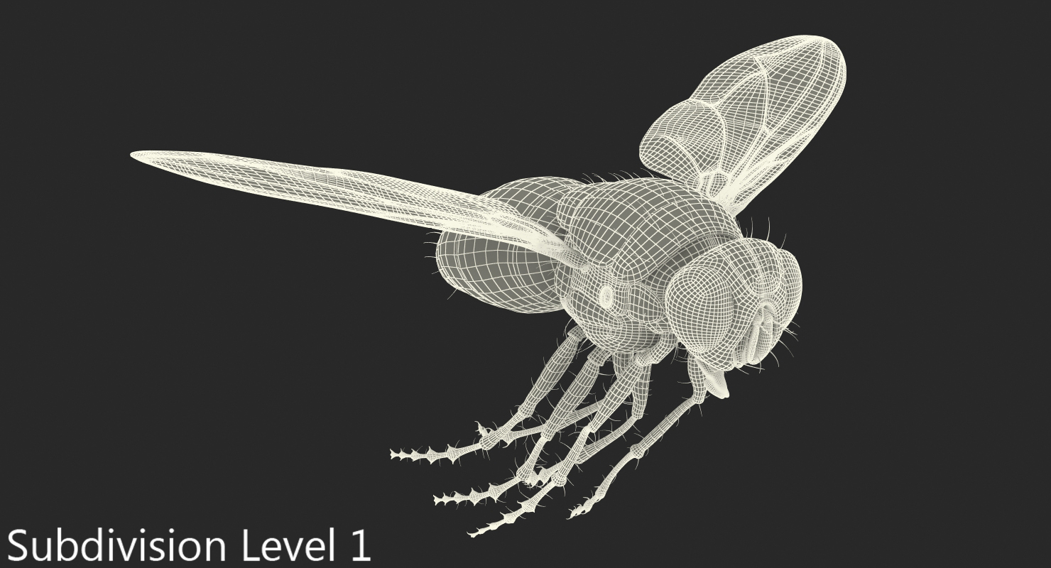 Fly Pose 3 with Fur 3D model