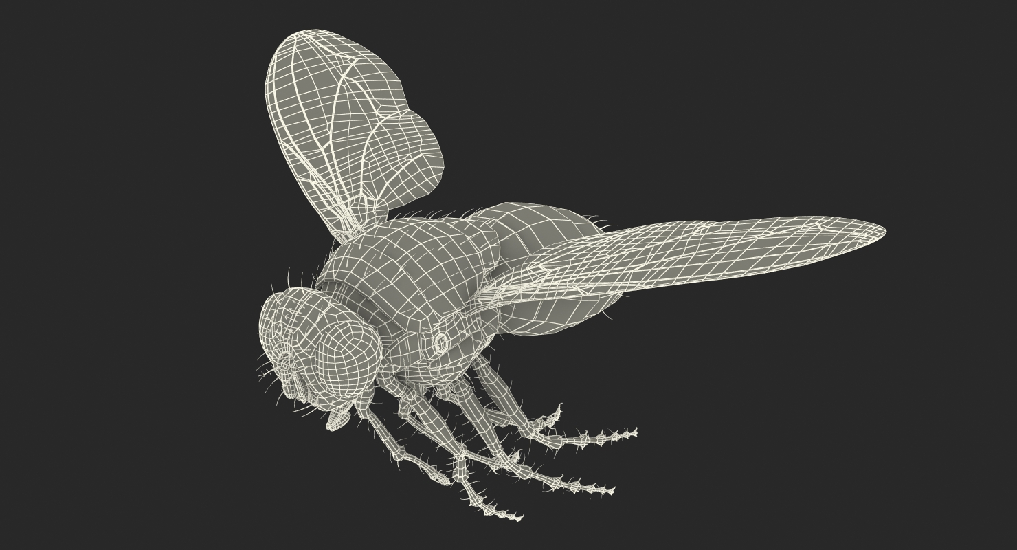 Fly Pose 3 with Fur 3D model