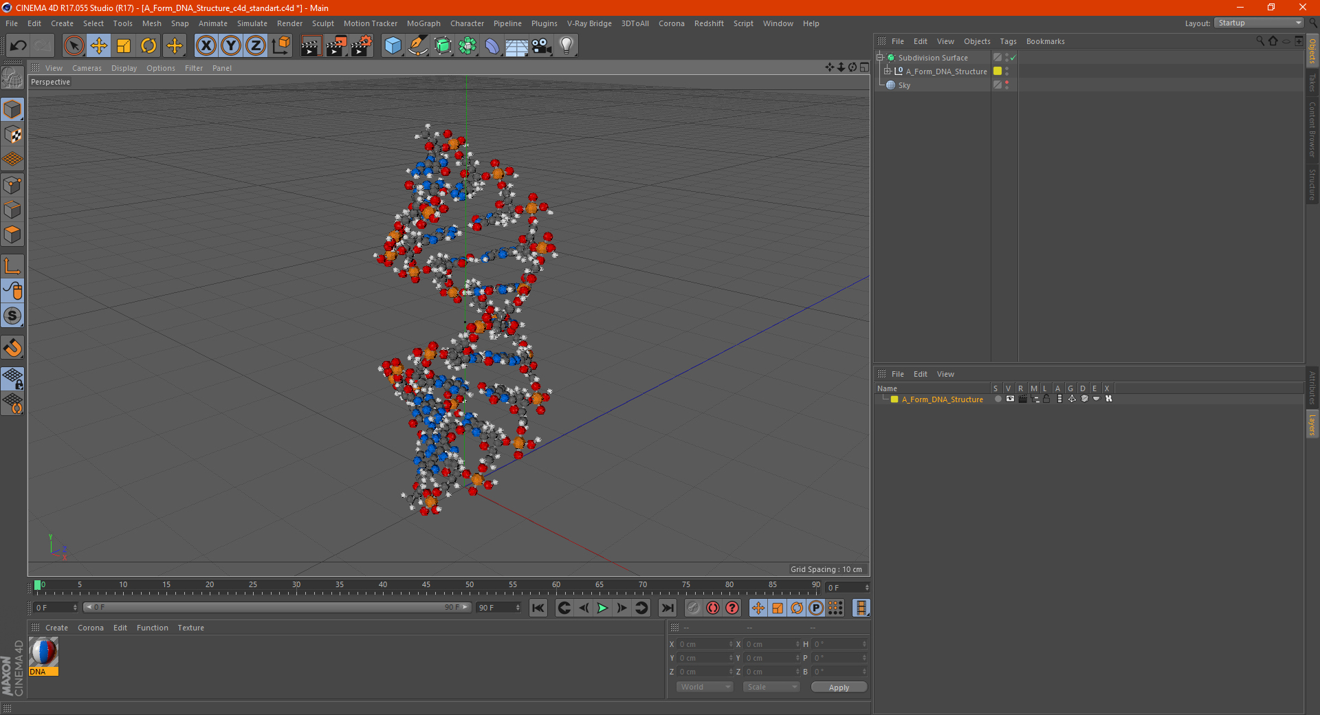 3D model A Form DNA Structure