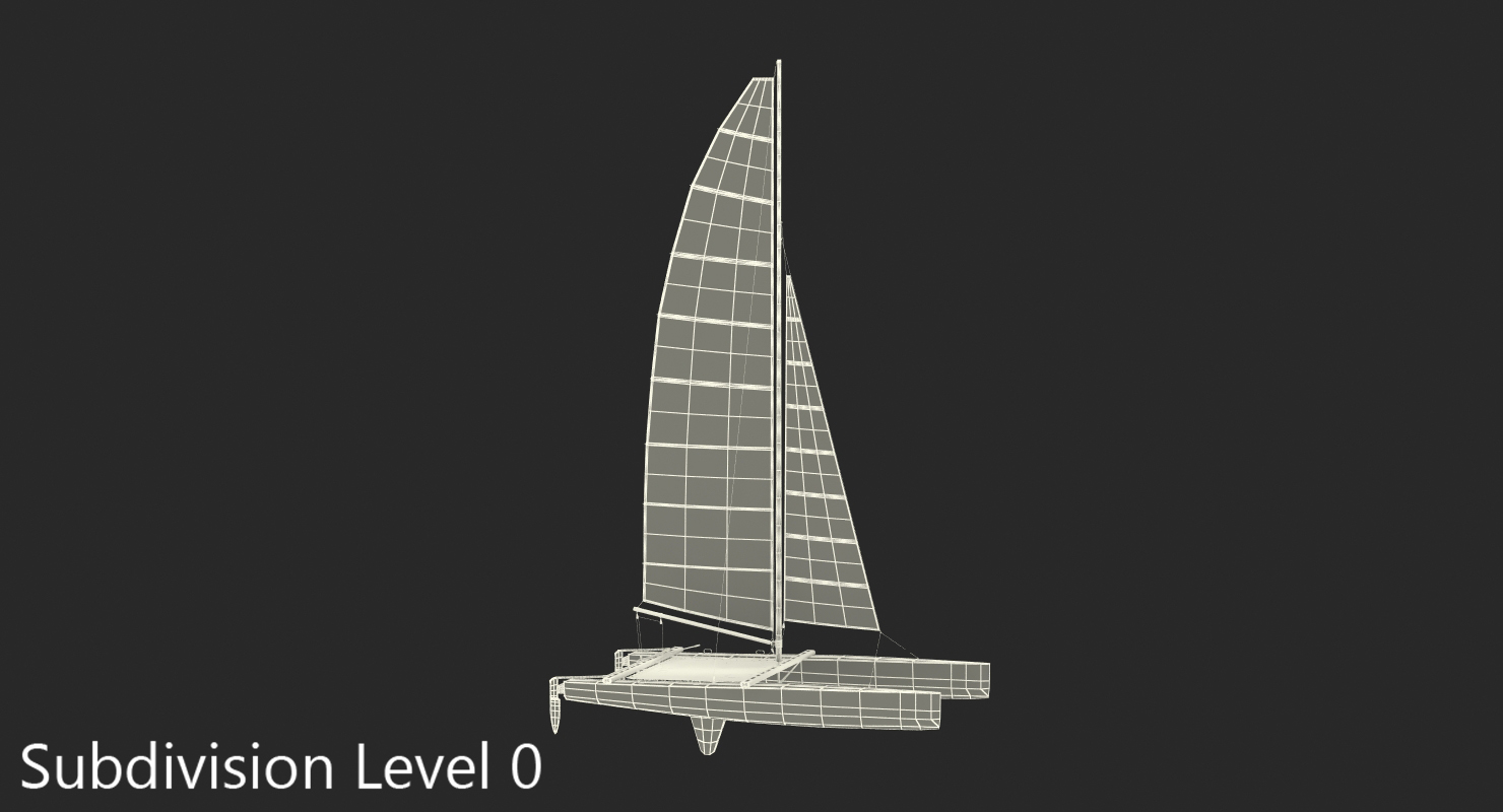 3D International A Class Catamaran