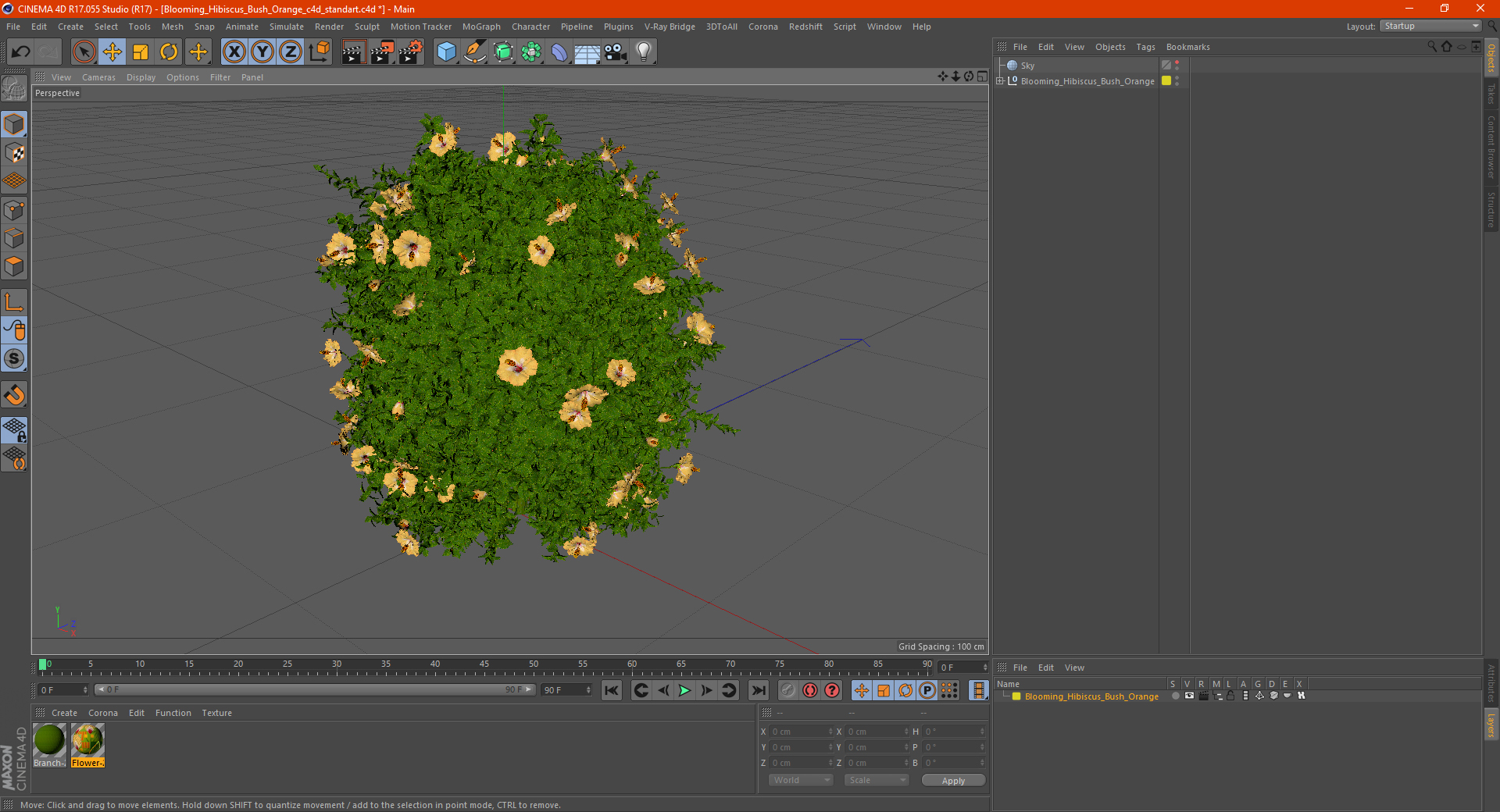 Blooming Hibiscus Bush Orange 3D model