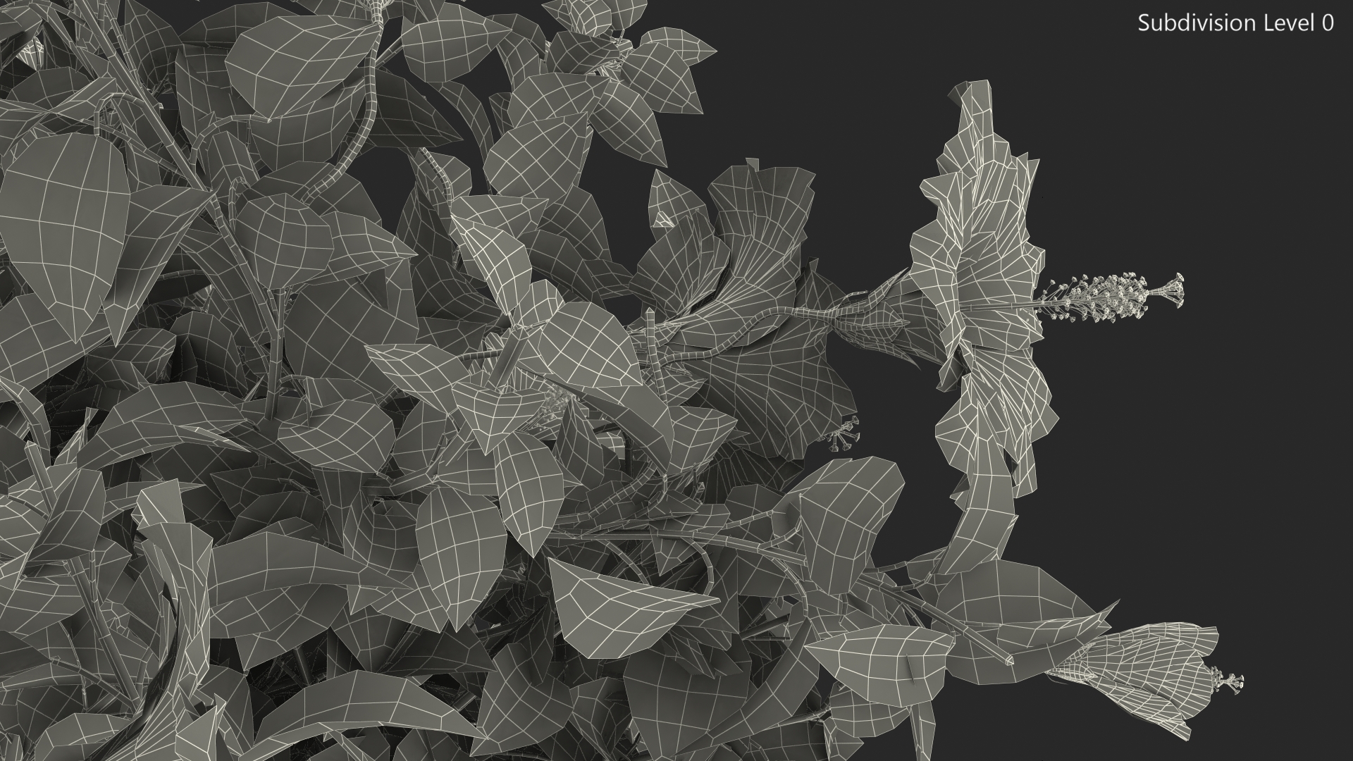 Blooming Hibiscus Bush Orange 3D model