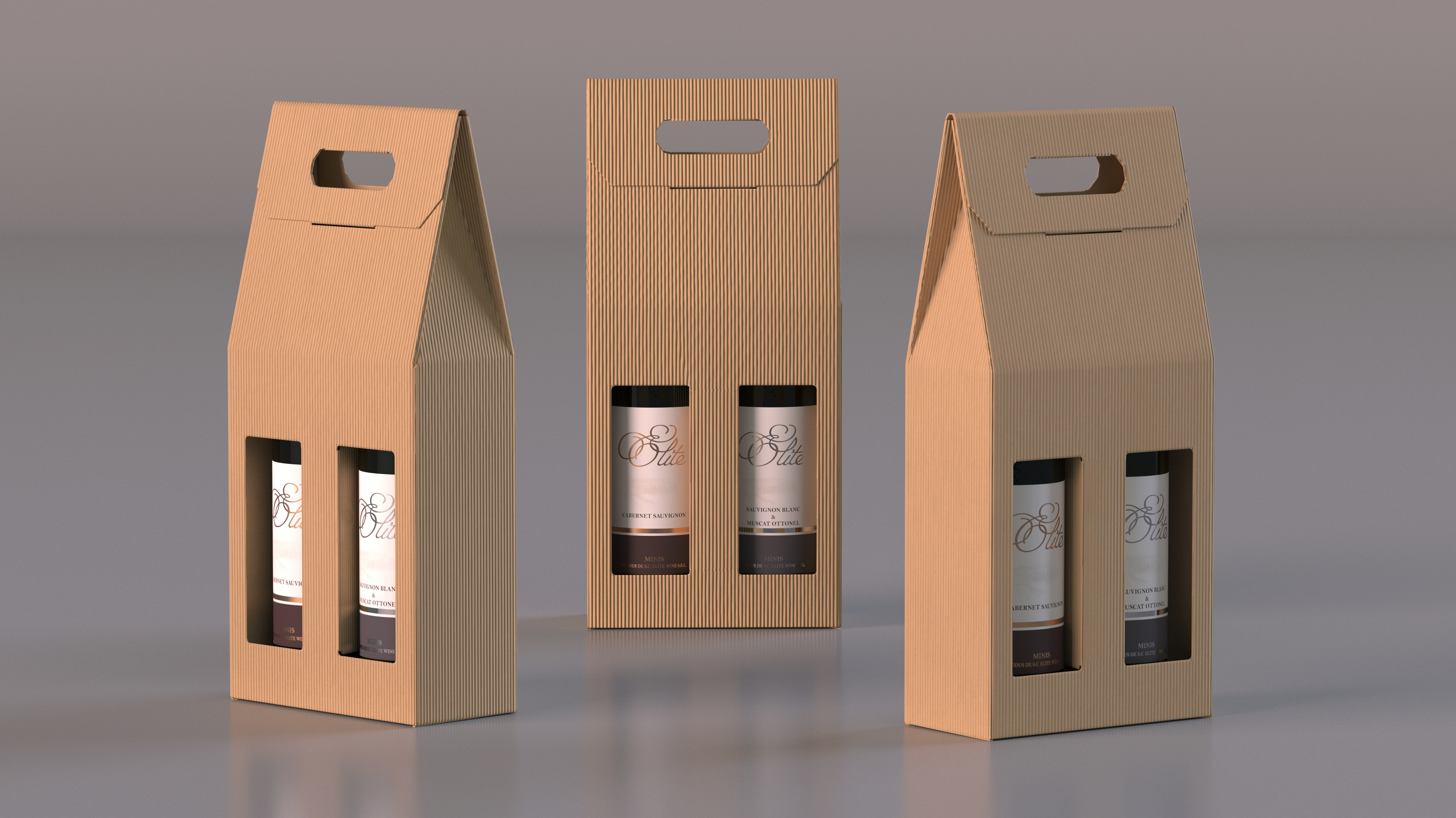3D model Cardboard Craft Two Bottle Box