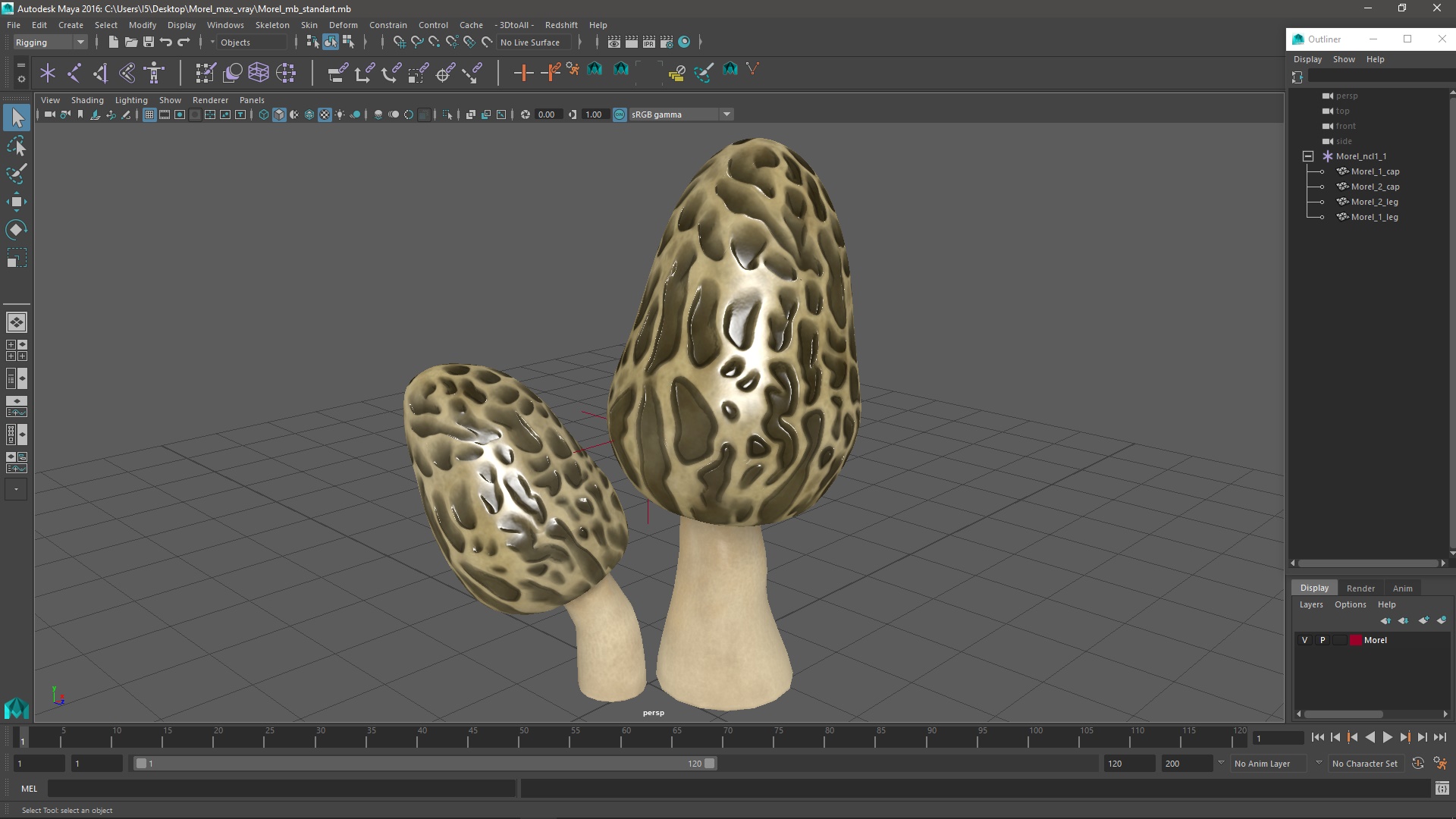 Morel 3D model