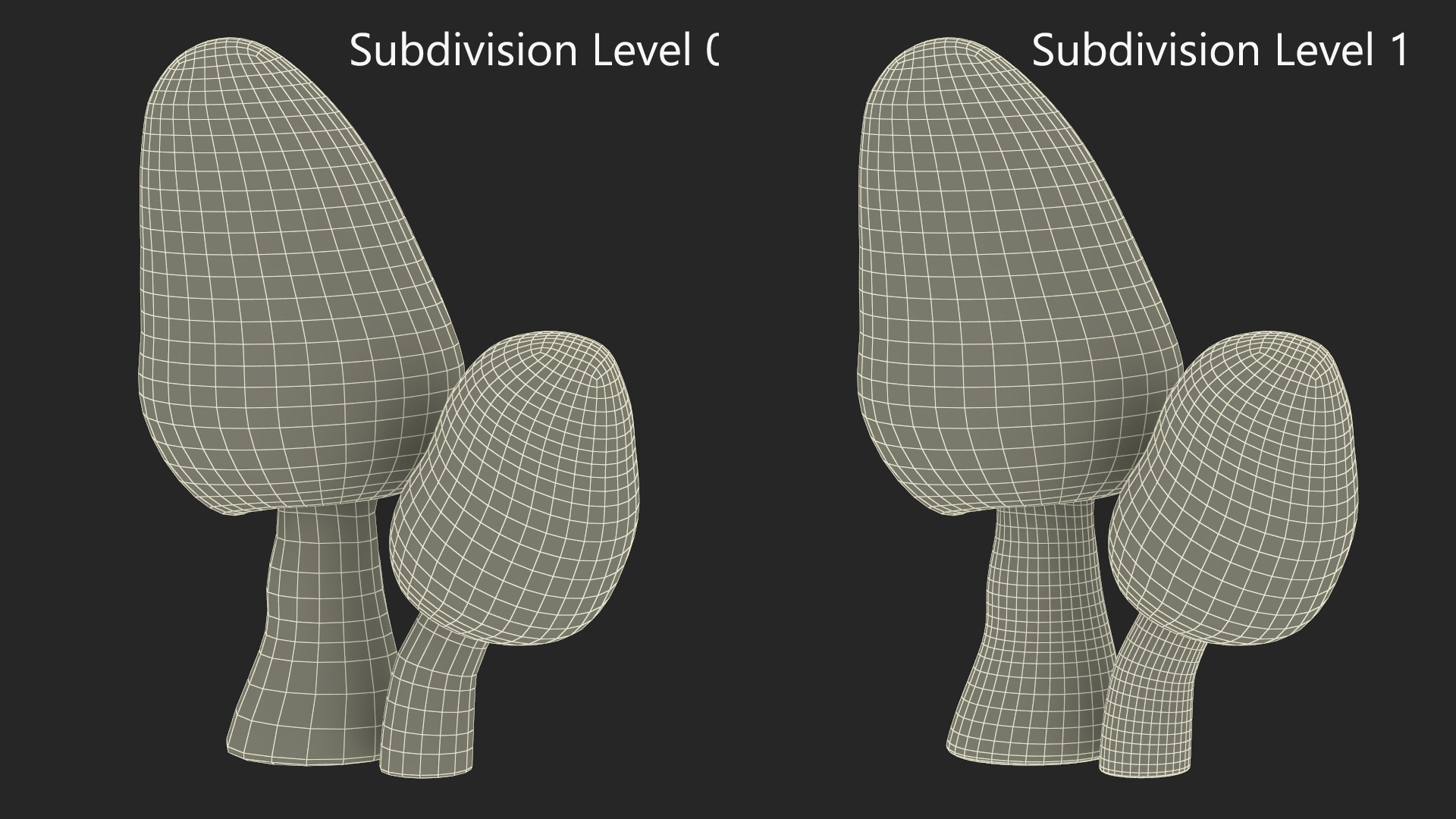 Morel 3D model