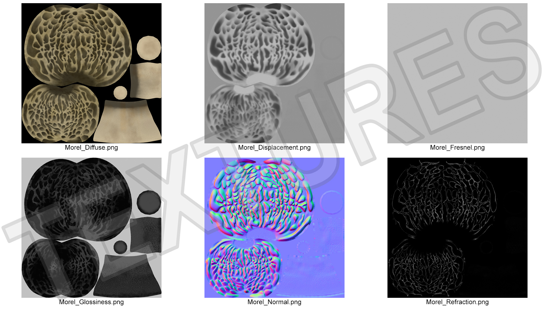 Morel 3D model