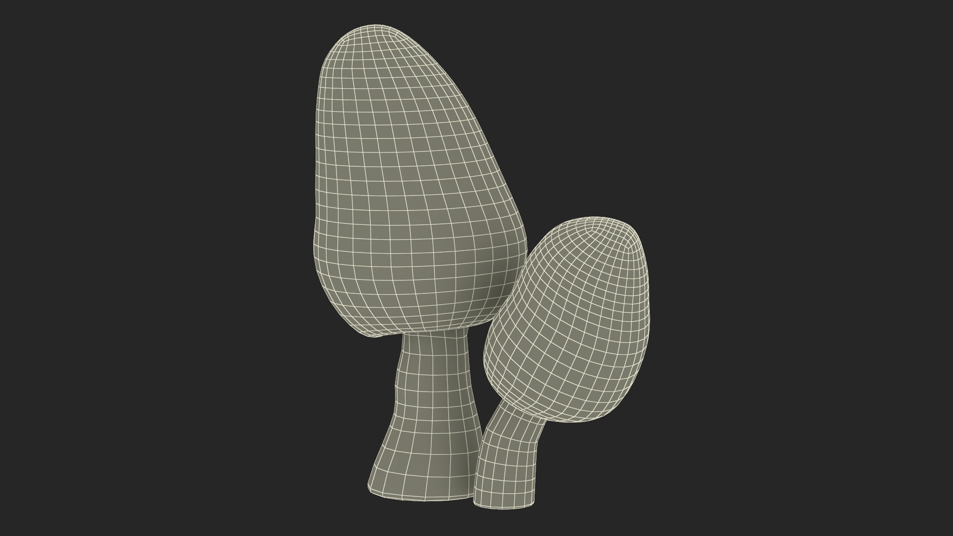 Morel 3D model
