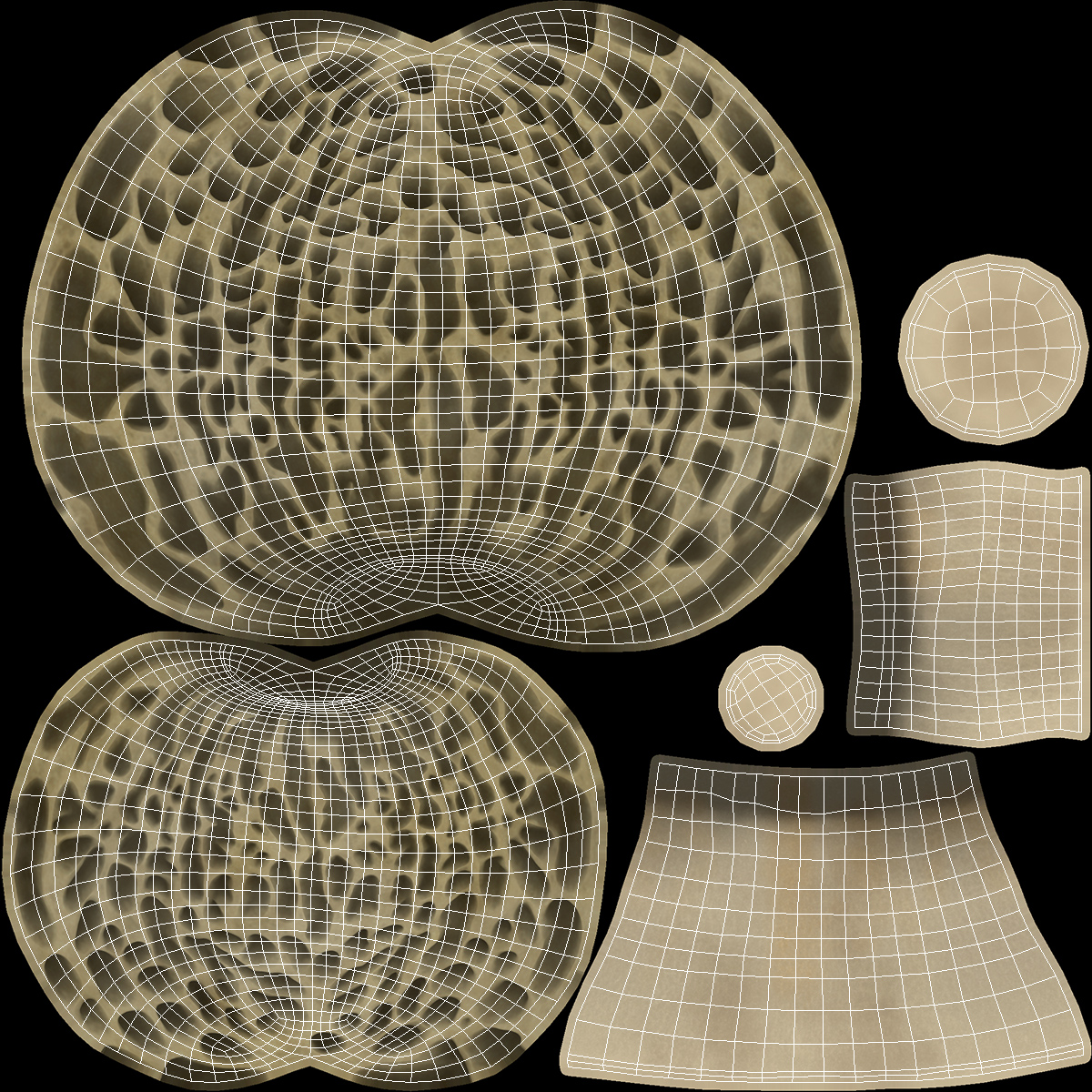 Morel 3D model