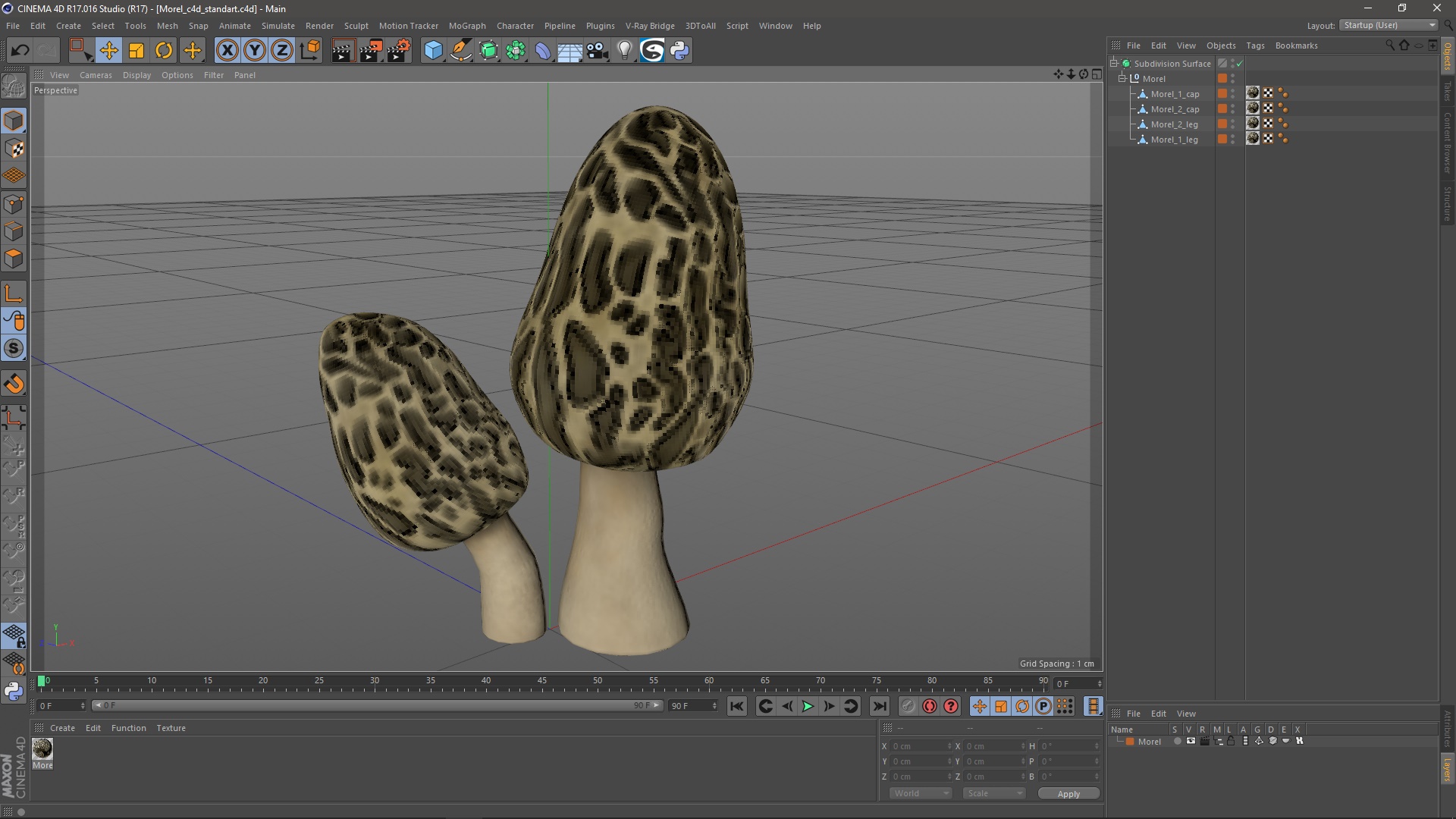 Morel 3D model