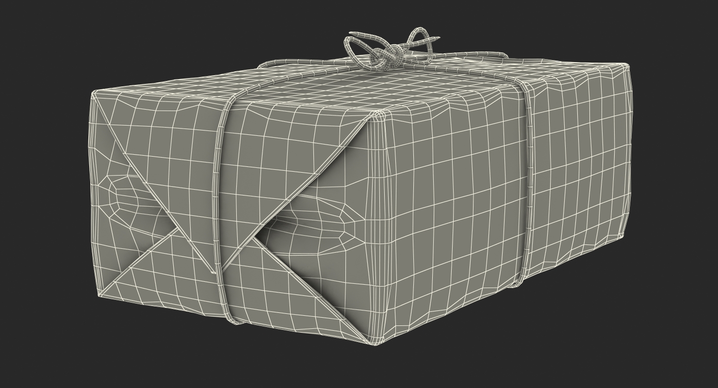 3D Paper Mail Package model