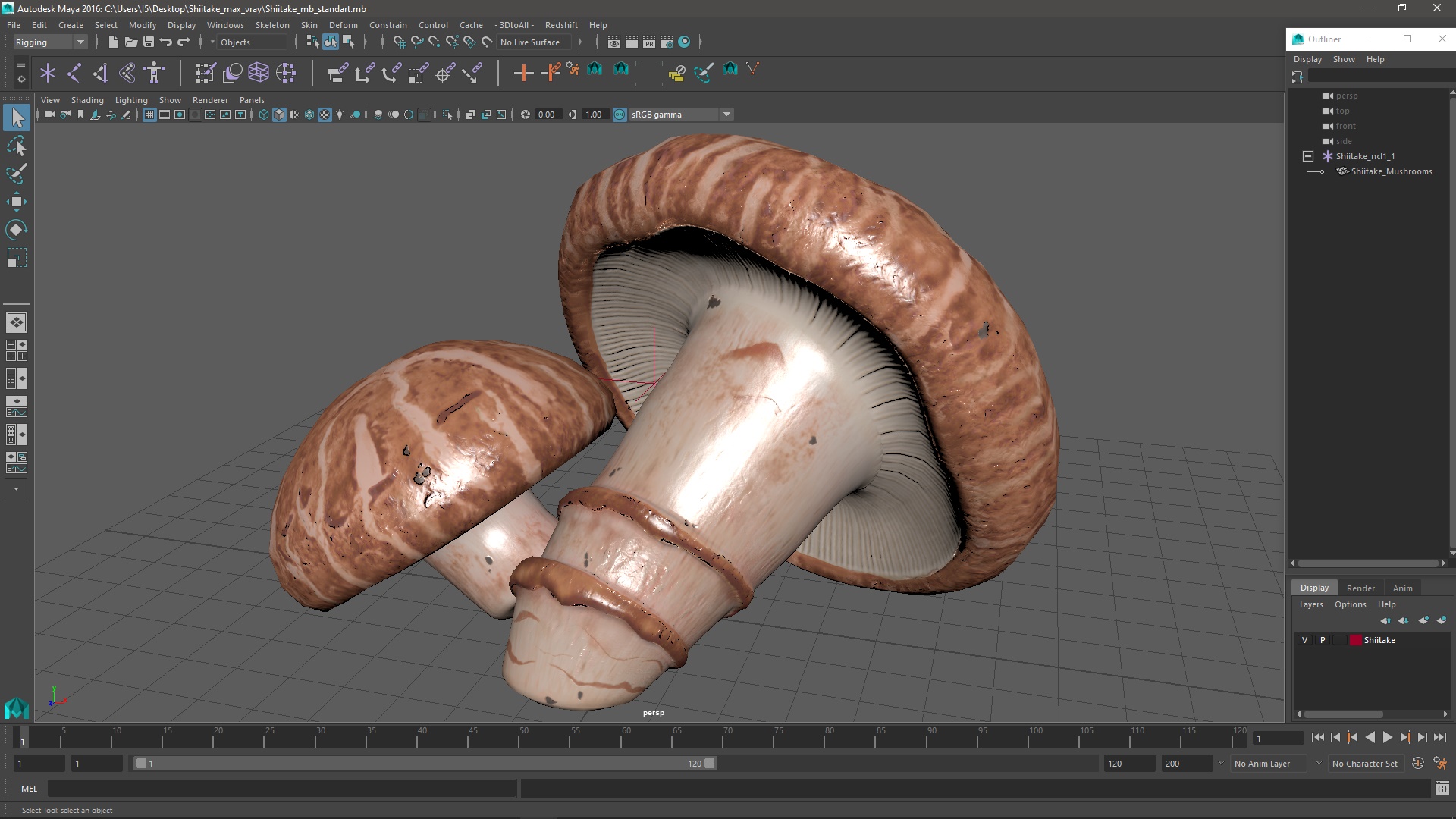 3D model Shiitake