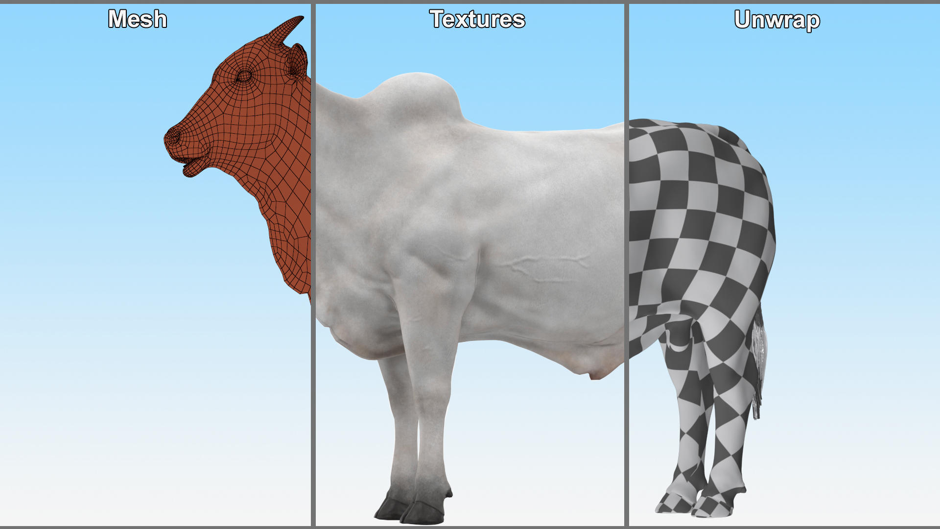 3D Nelore Cow Male Fur Rigged