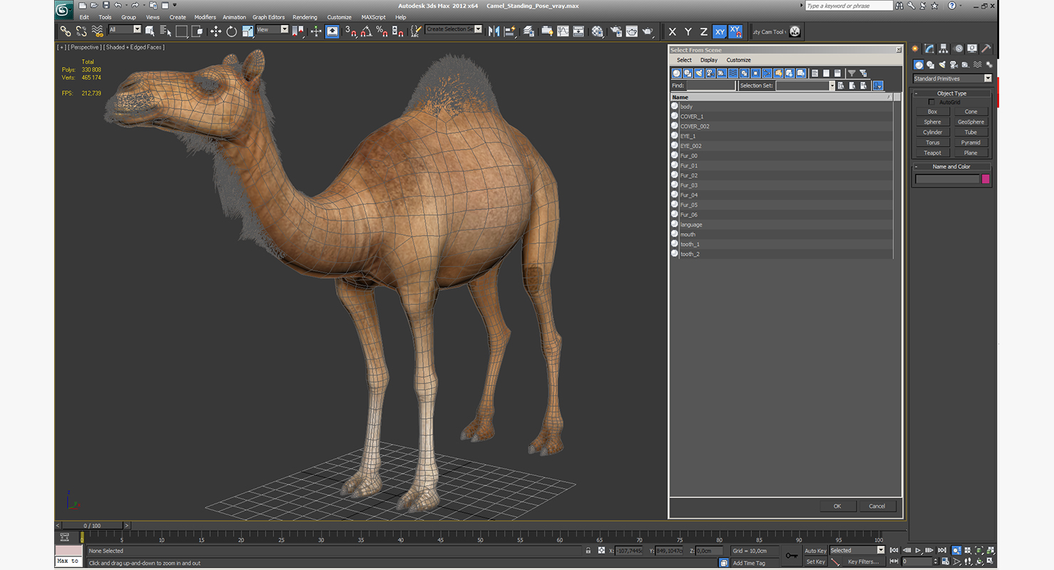 Camel Standing Pose 3D model