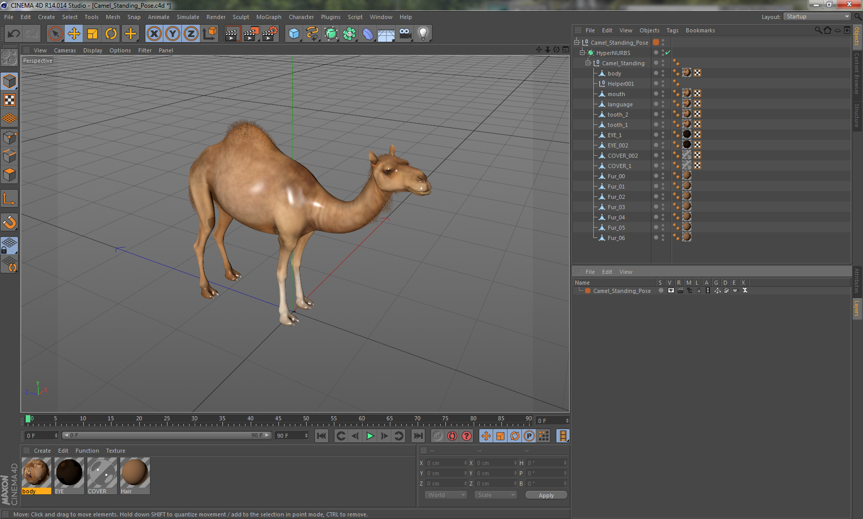 Camel Standing Pose 3D model