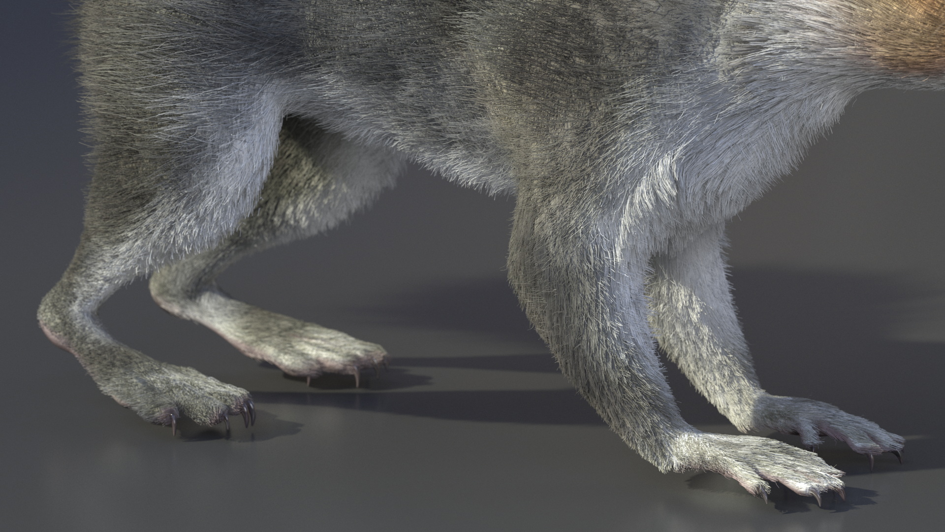 Gray Squirrel Fur 3D