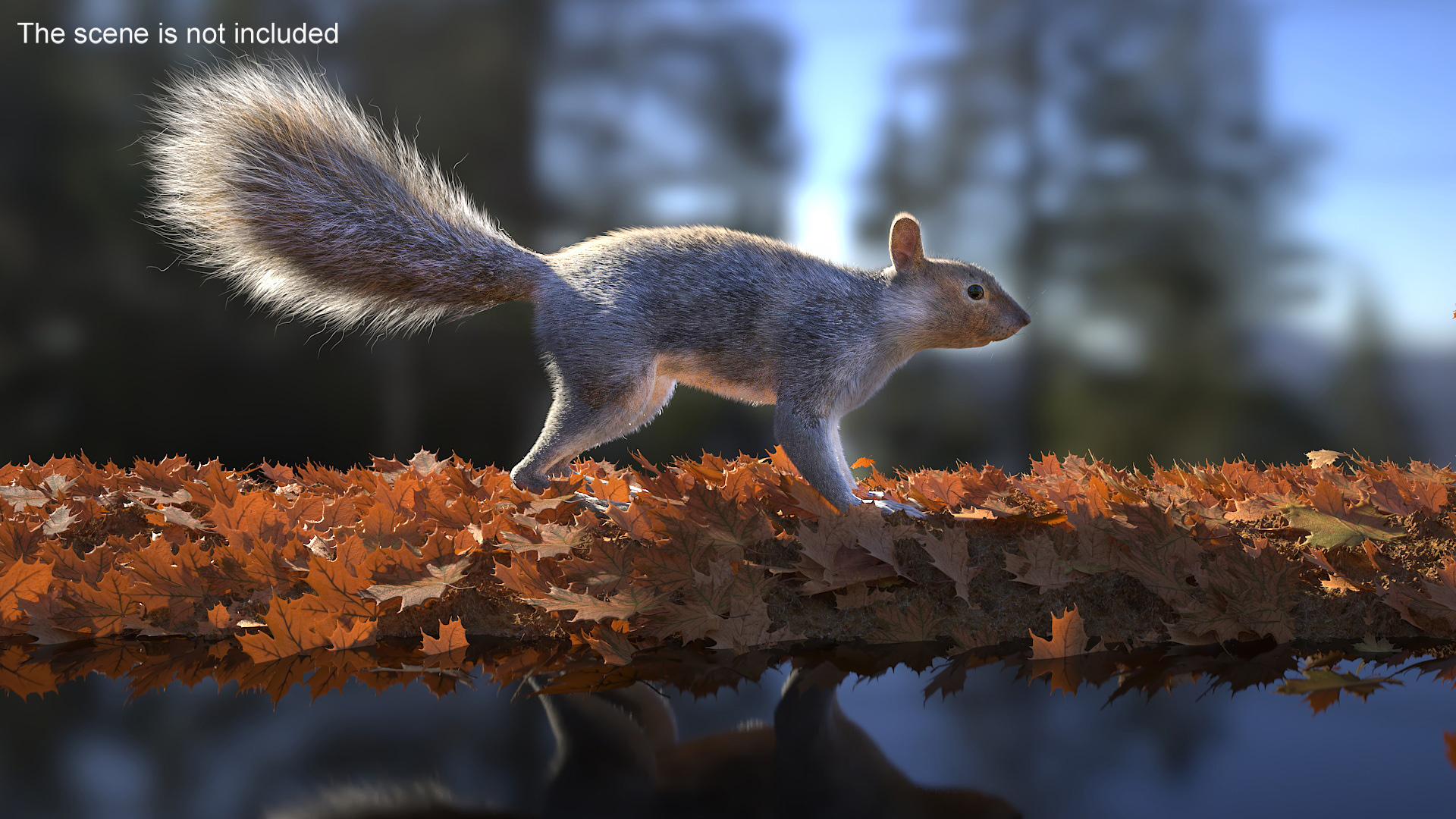 Gray Squirrel Fur 3D
