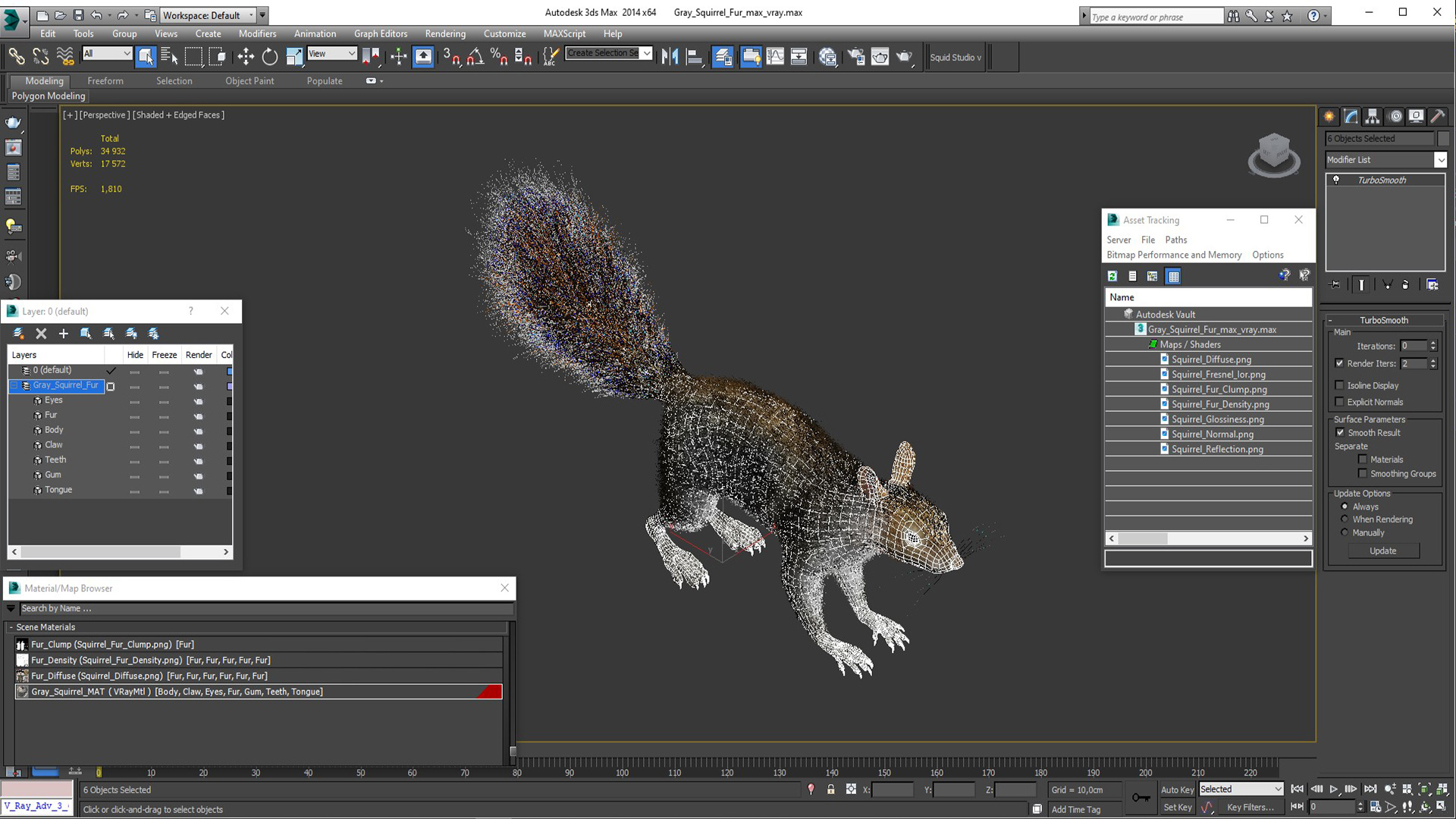 Gray Squirrel Fur 3D