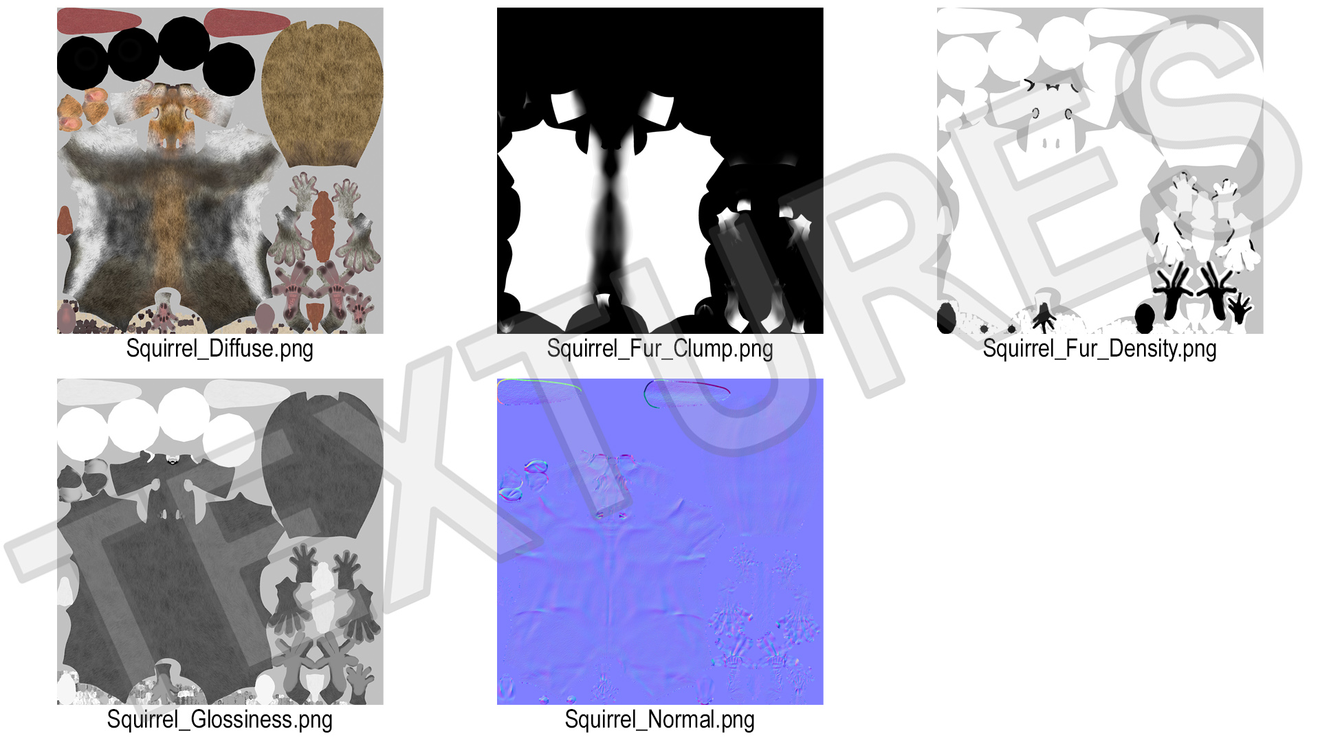 Gray Squirrel Fur 3D