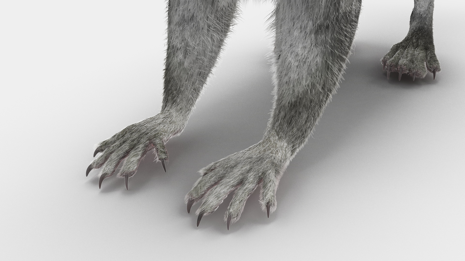 Gray Squirrel Fur 3D